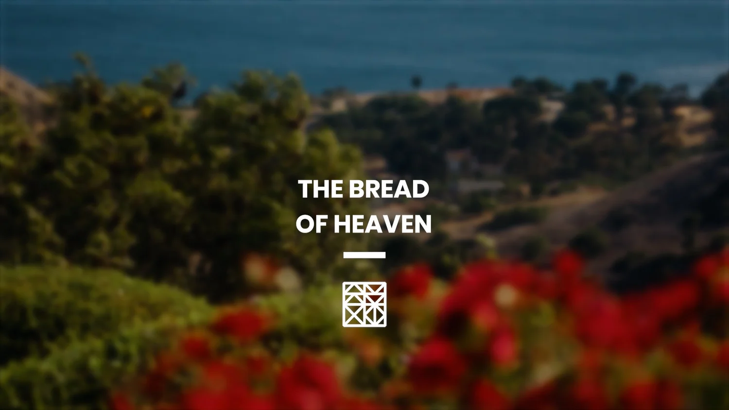 EXODUS 16 - THE BREAD OF HEAVEN EXODUS 16 - THE BREAD OF HEAVEN