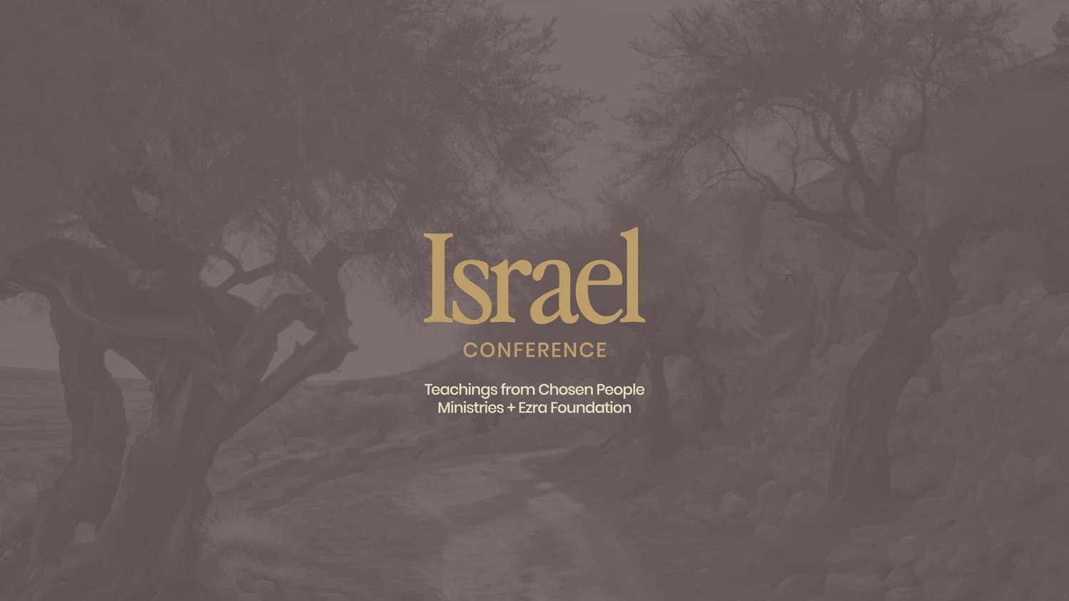 Israel Conference 2024 (Q+A) Israel Conference 2024 (Q+A)