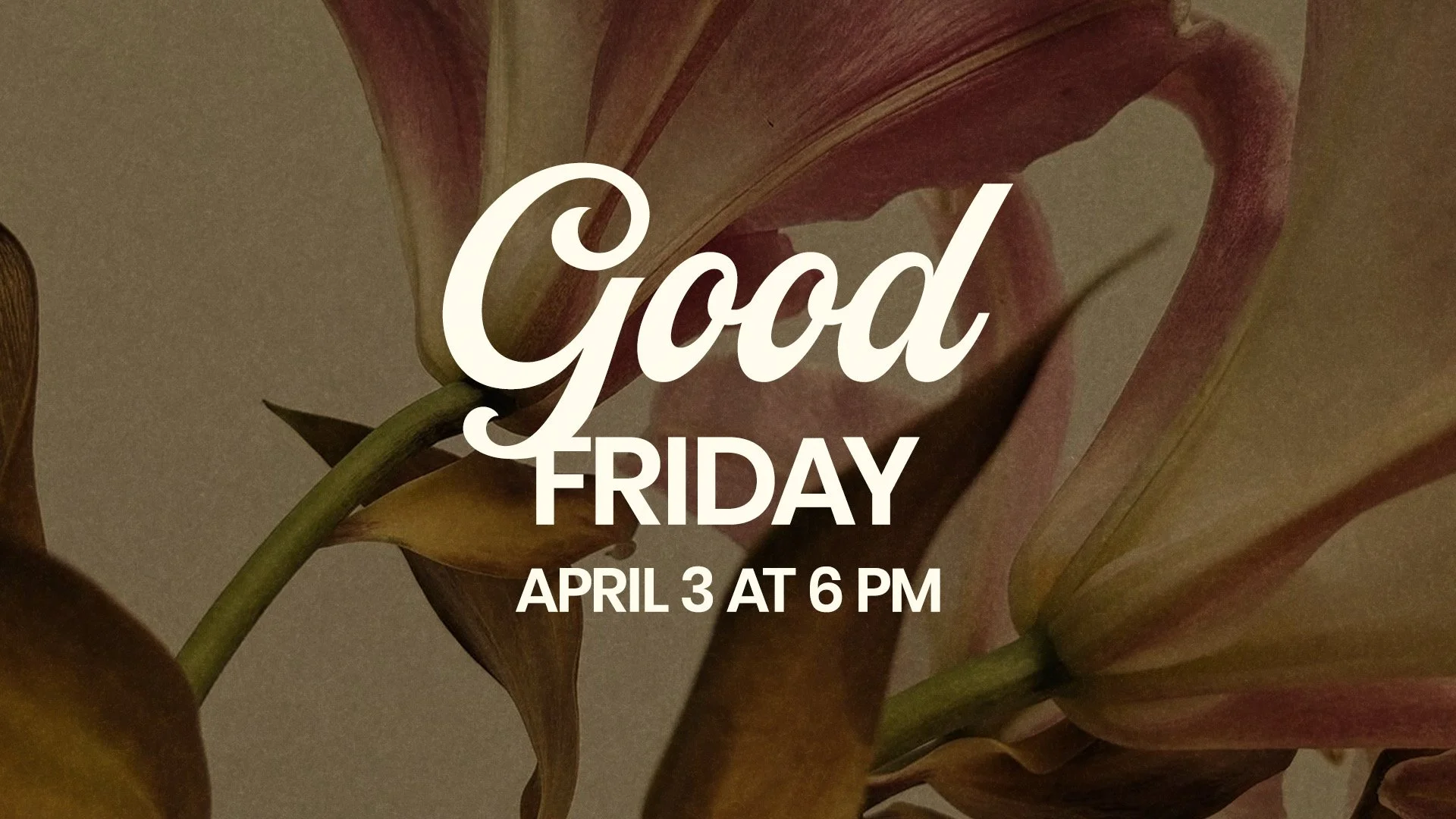 Good Friday 2026 - Access to God