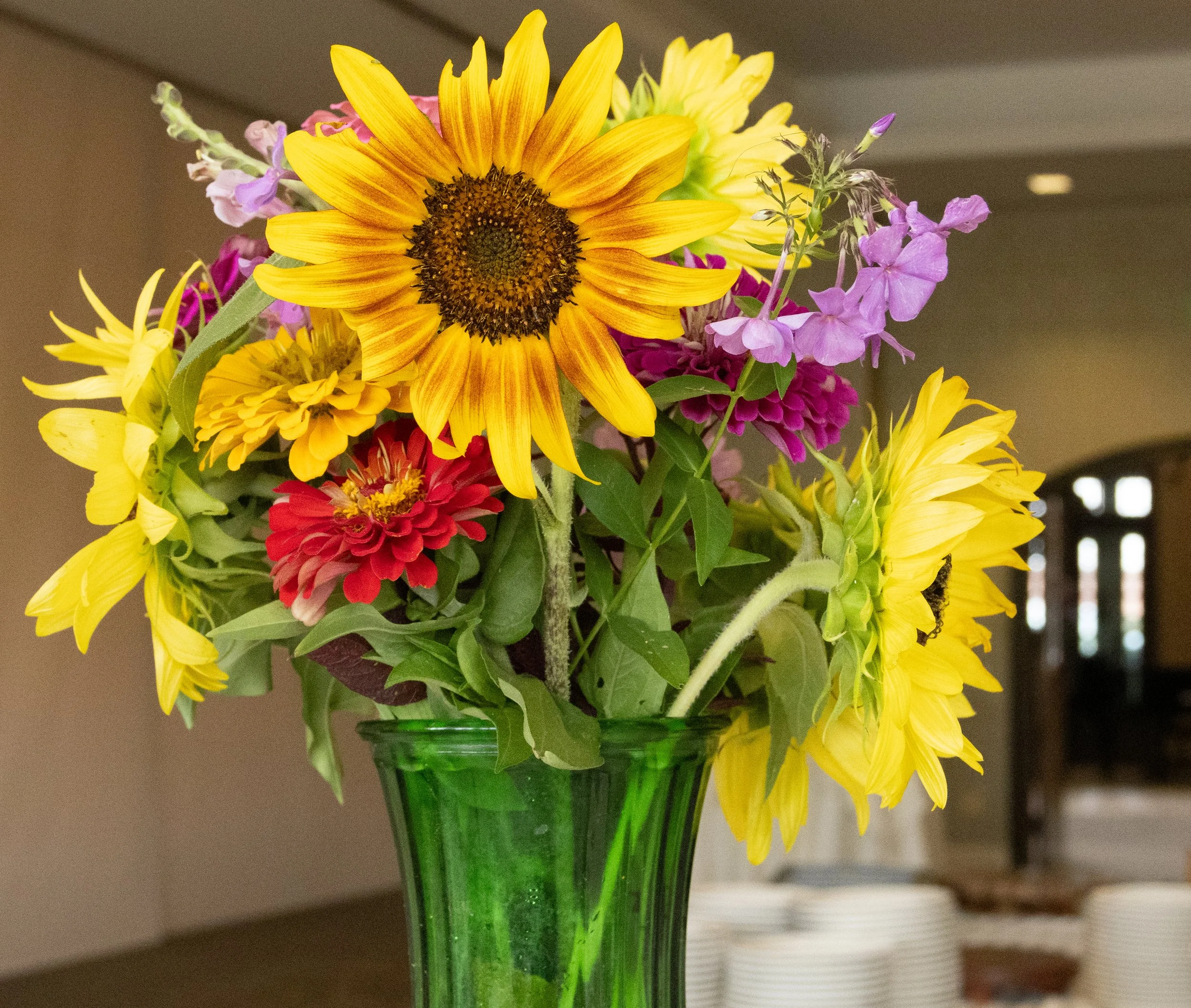 Community Seder Donate A Seat