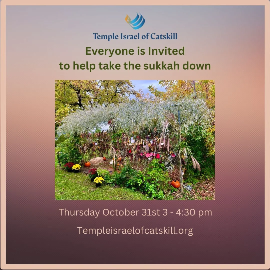 Sukkah Deconstruction