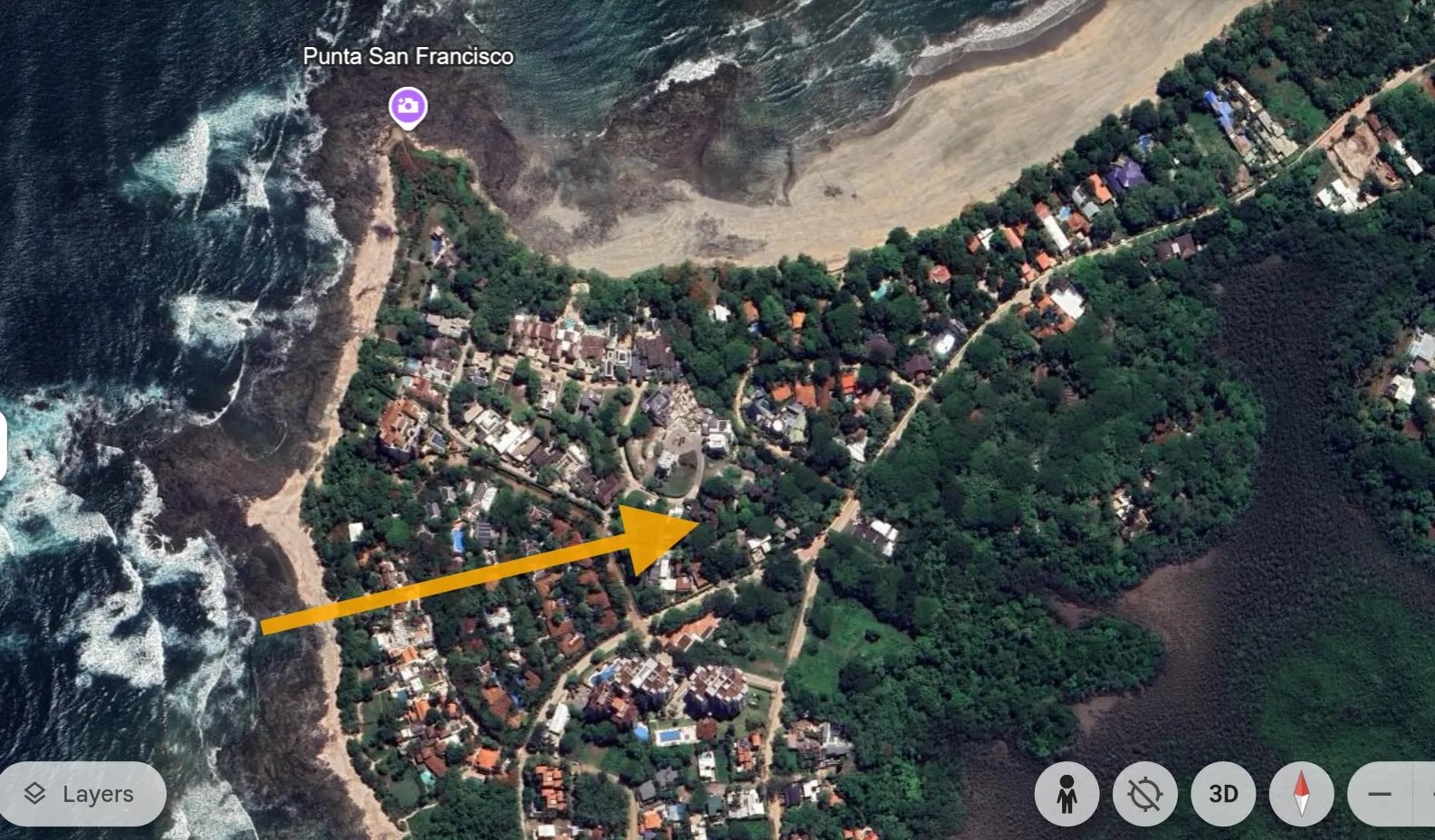 Colibri From Above.jpeg