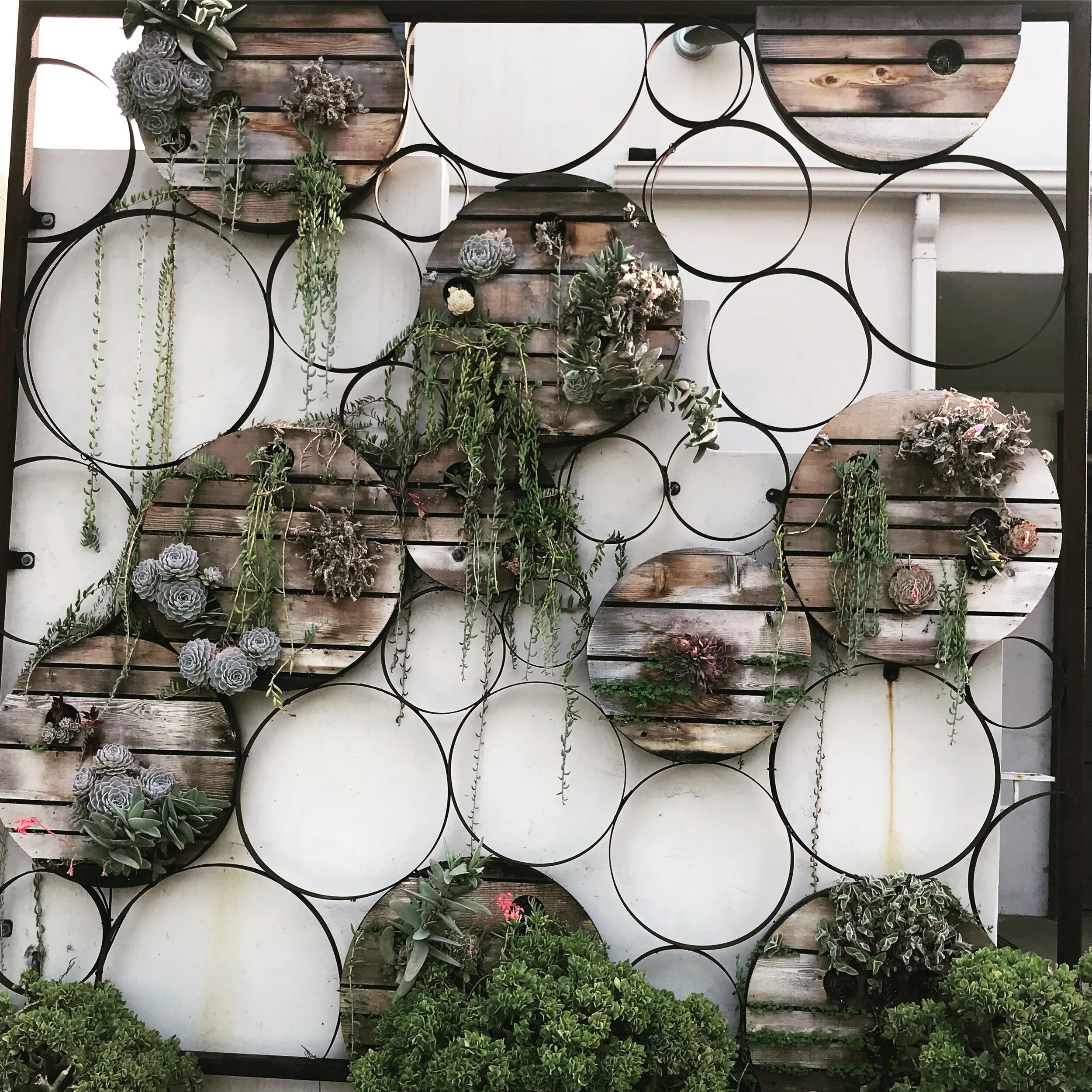 JasperMoon Interiors