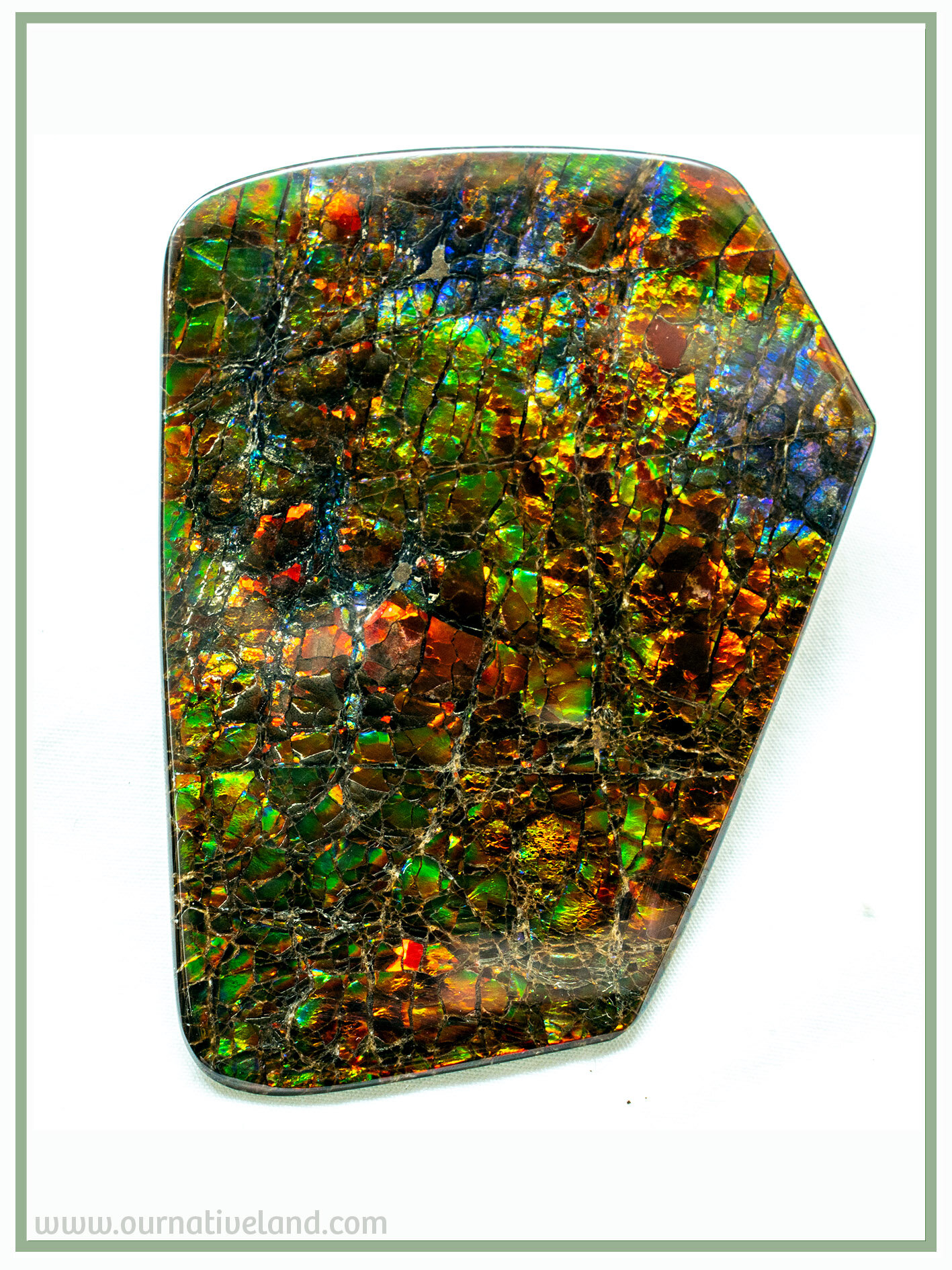 4.3 ratio one side ammolite -  frame.jpg