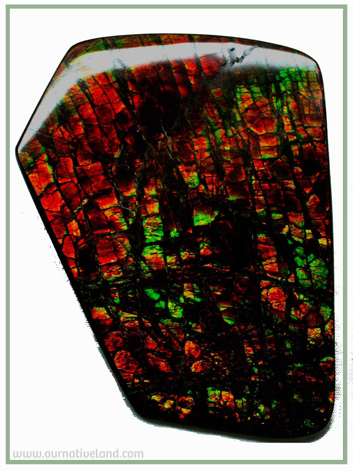 4.3 ratio second side ammolite -  frame.jpg