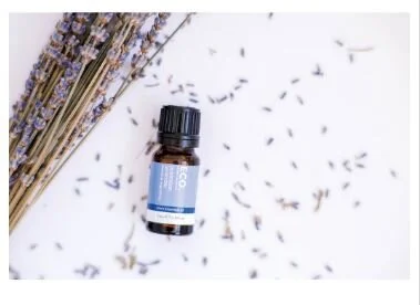 Australian Lavender.JPG