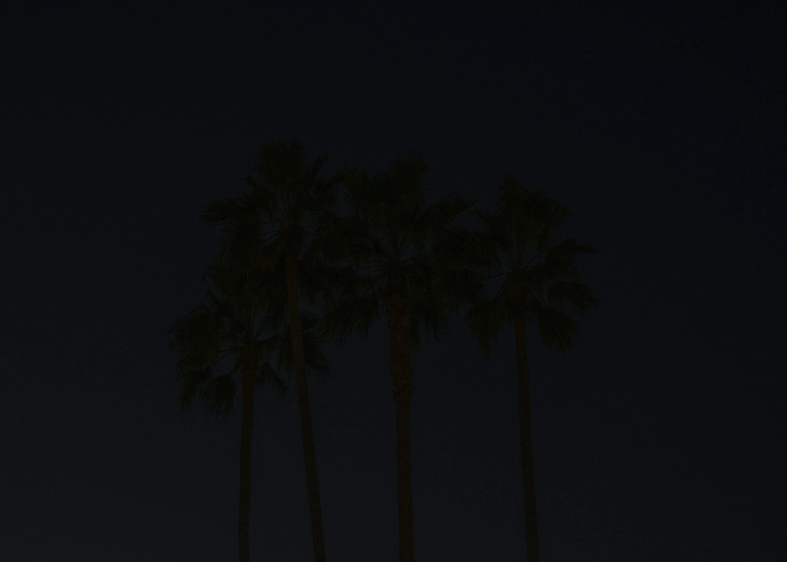 NUIT AMERICAINE _009.jpg