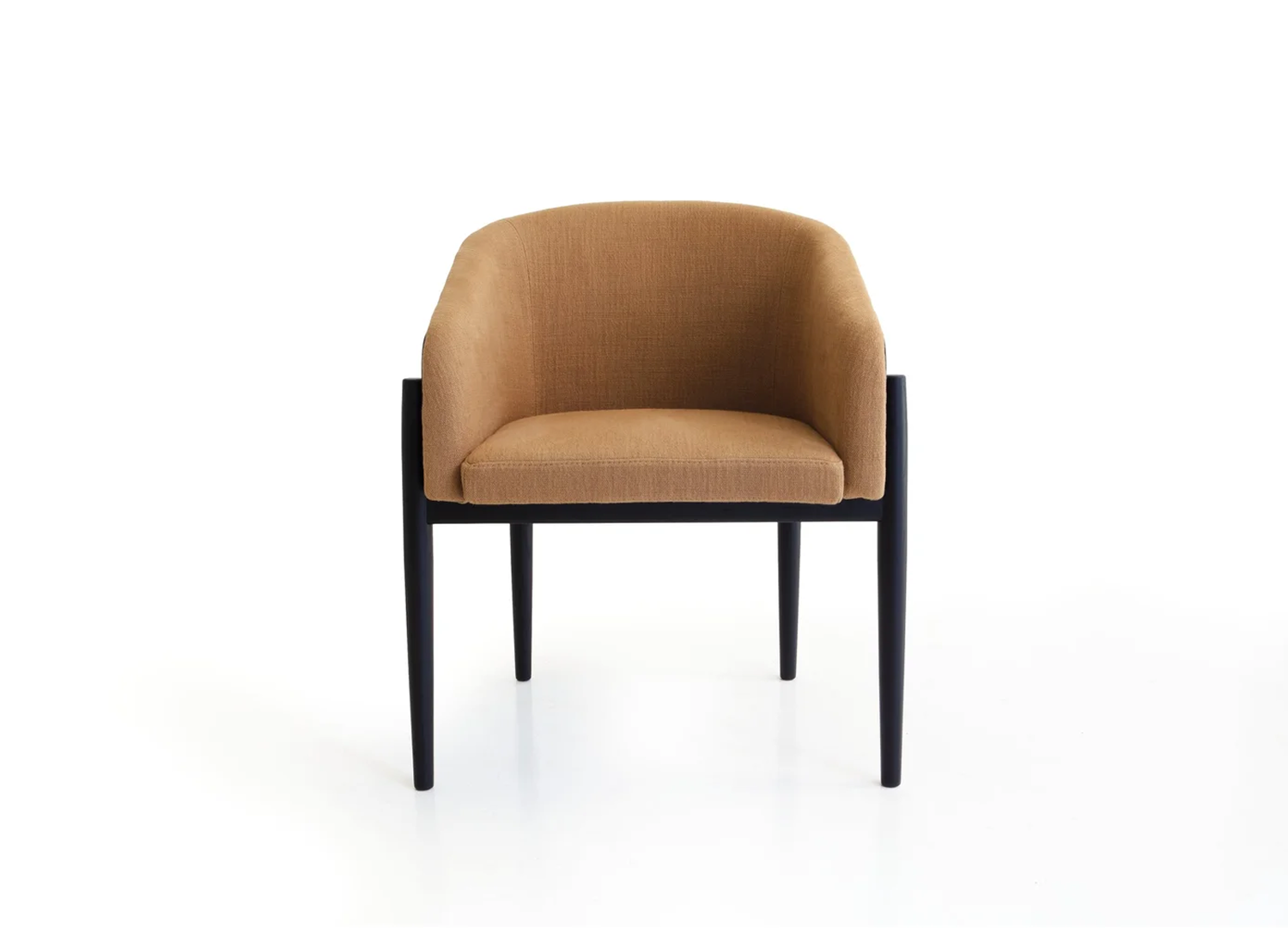 BREZZA wooden dining chair with soft shell backrest and padded seat