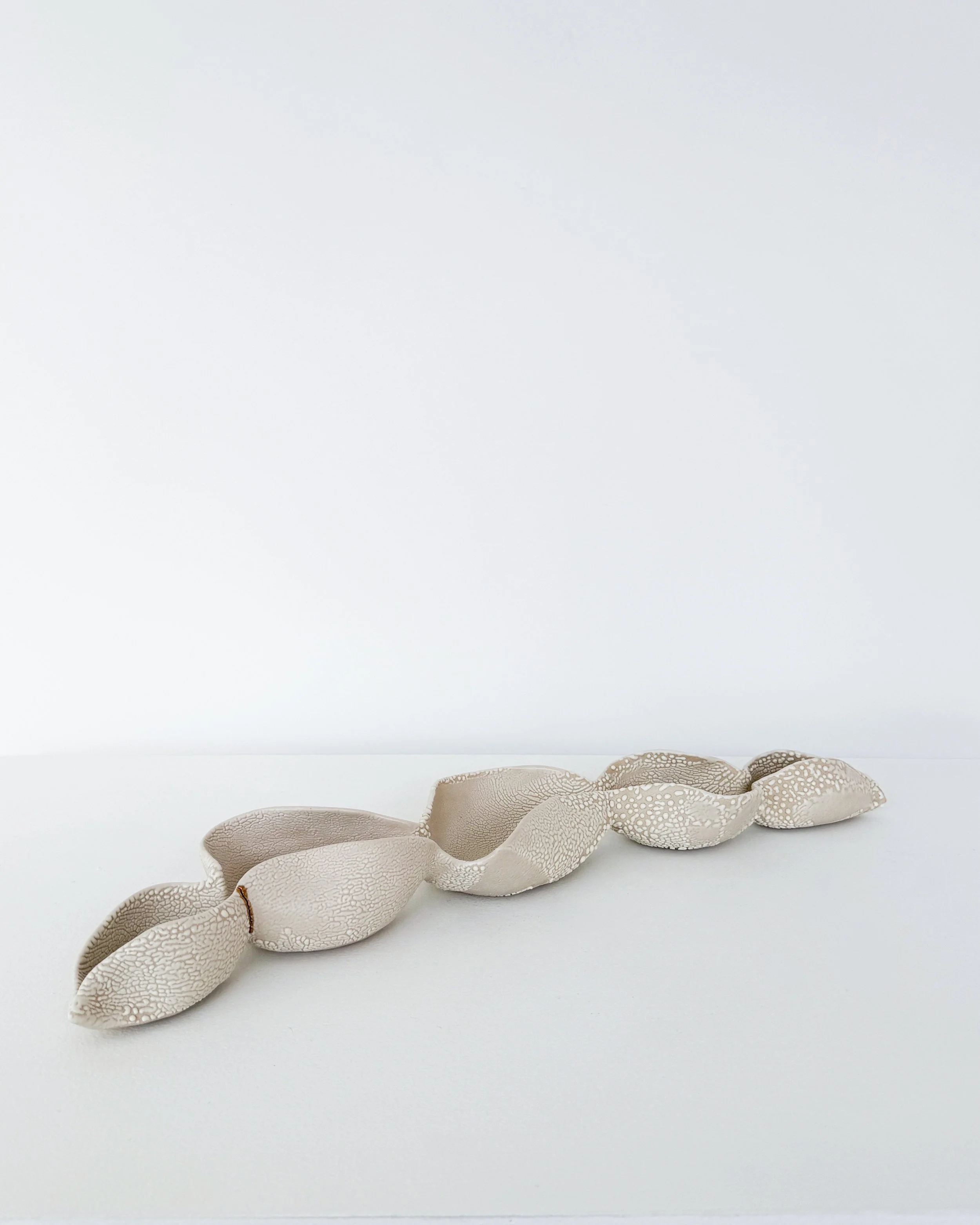 IMG_6764w.jpg (Copy)