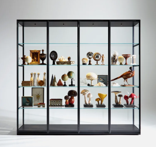 Ex-Libris bookshelf featuring a dark steel frame with transparent glass panels and shelves, styled like a cabinet of curiosities with vintage collectibles, globes, and sculptures.