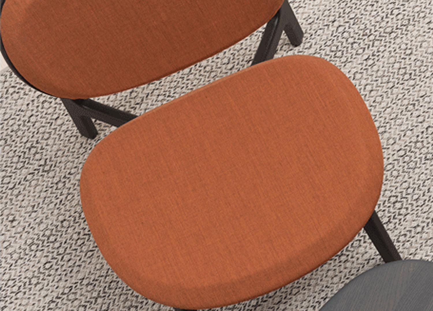 ZENSO LOUNGE designer armchair with solid wood frame and curved back