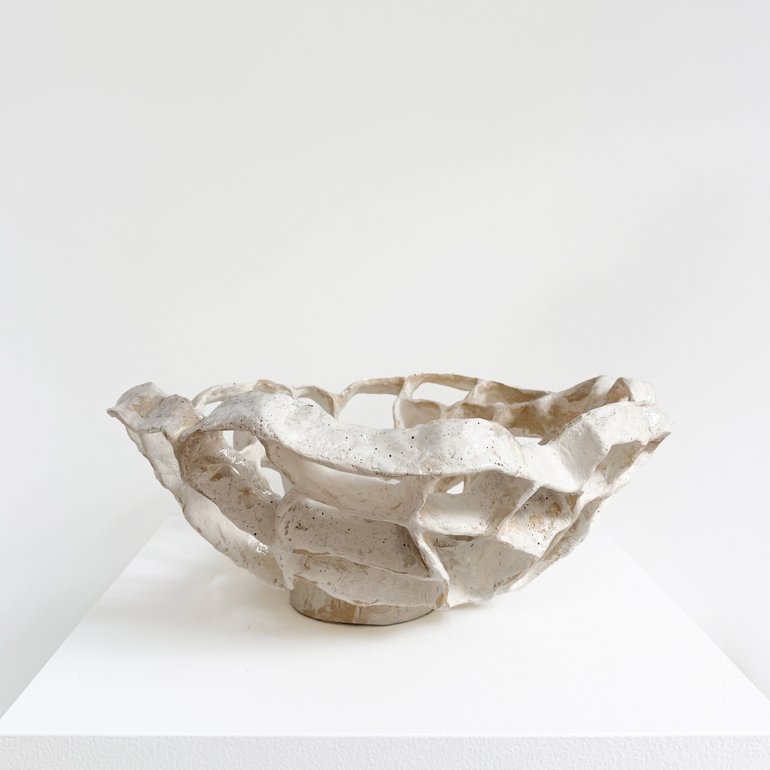 WILD MOREL VESSEL