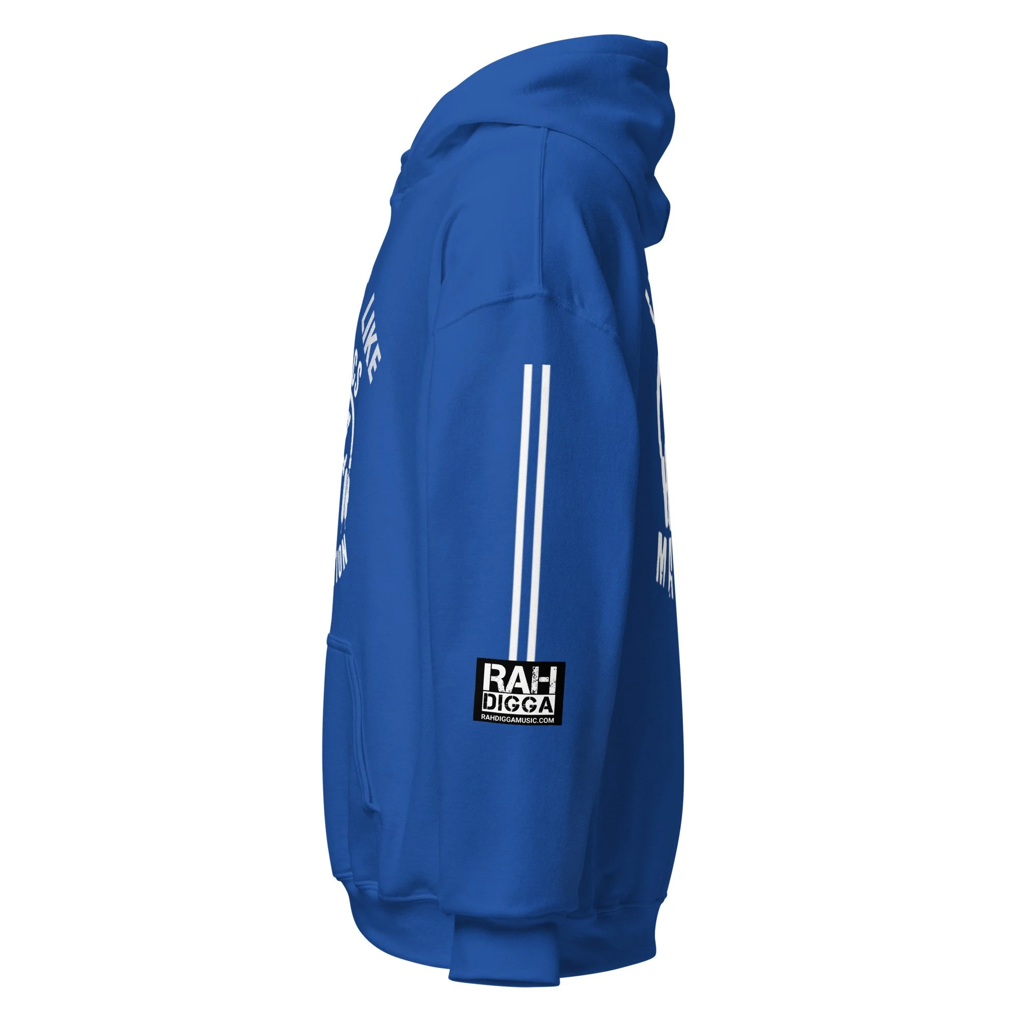unisex-heavy-blend-hoodie-royal-left-6a7d349cda9fe.jpg