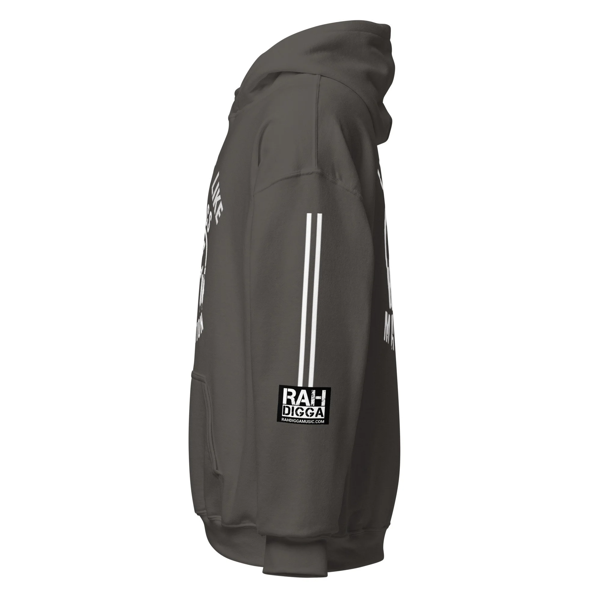 unisex-heavy-blend-hoodie-charcoal-left-6a7d349cda73e.jpg