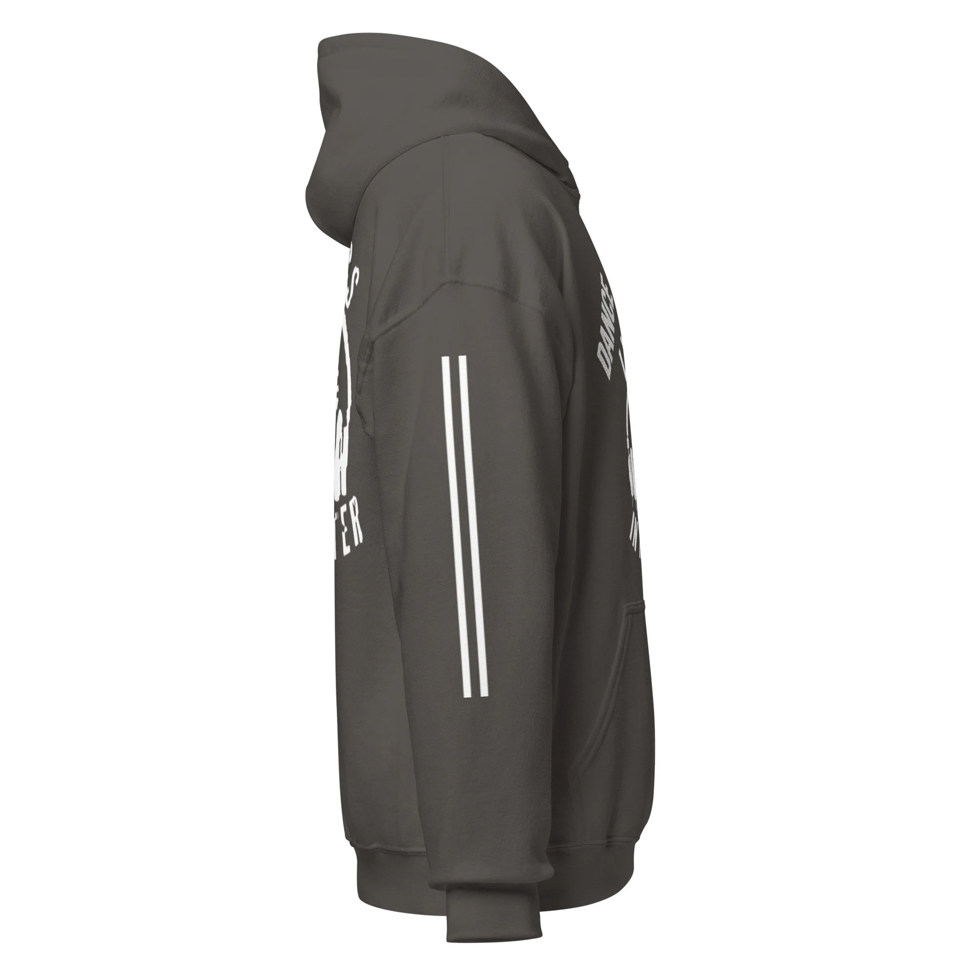 unisex-heavy-blend-hoodie-charcoal-right-6a7d349cdafc0.jpg