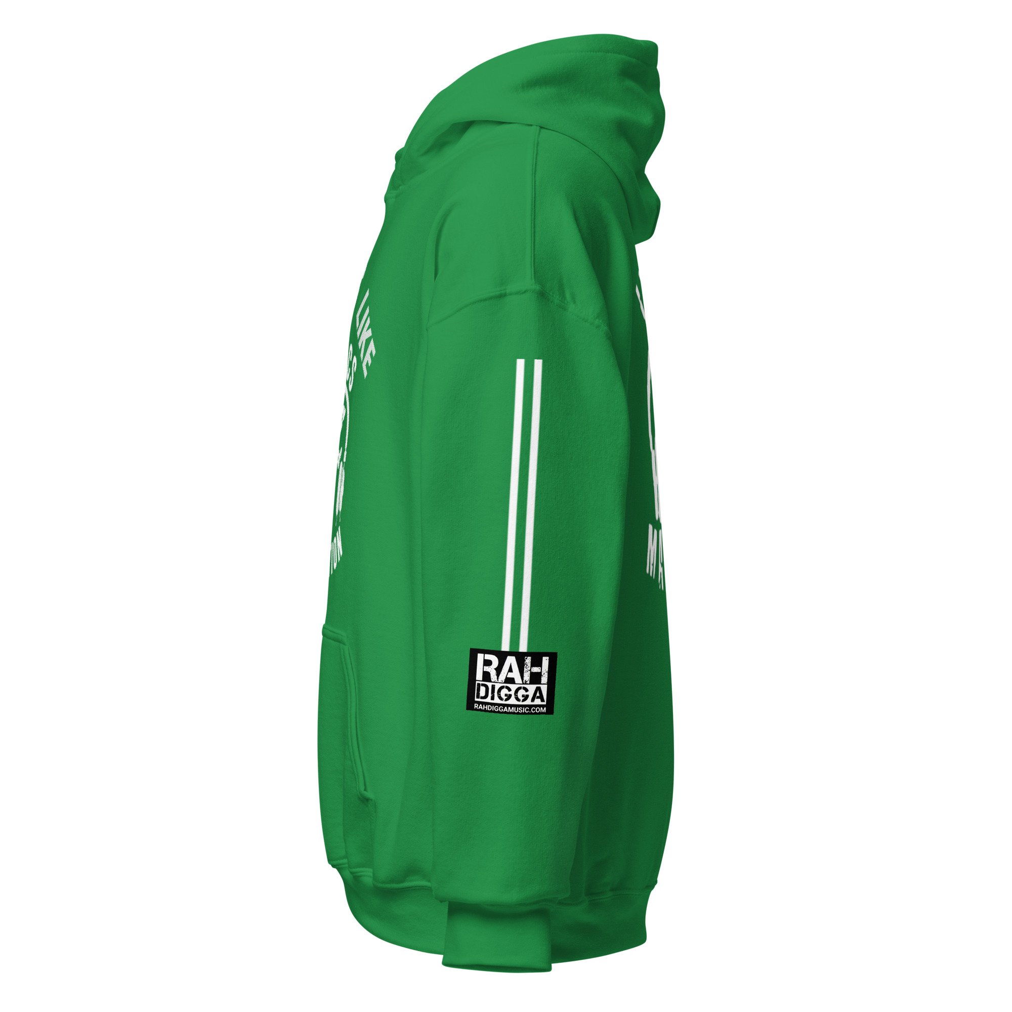 unisex-heavy-blend-hoodie-irish-green-left-6a7d349cda8ea.jpg