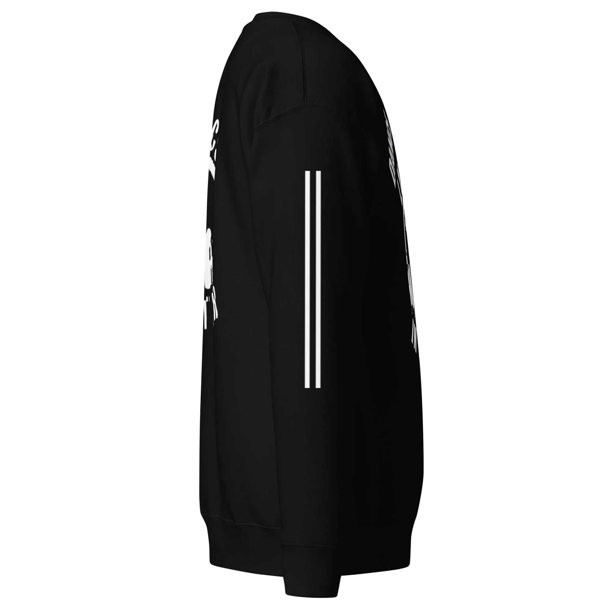 unisex-premium-sweatshirt-black-right-6a7d3cb363b6f.jpg