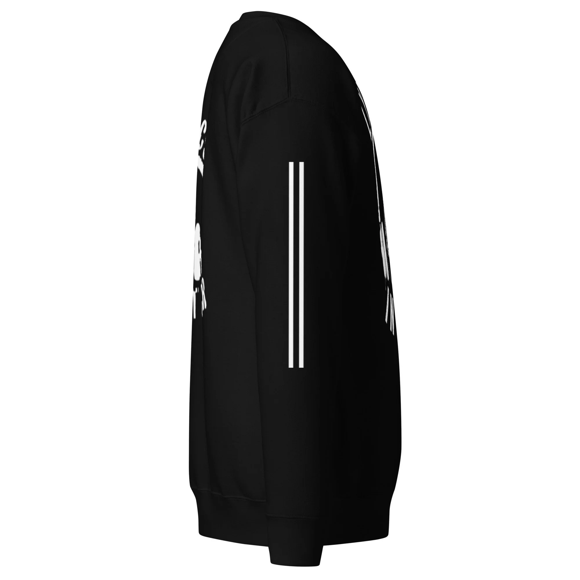 unisex-premium-sweatshirt-black-right-6a7d48c687277.jpg