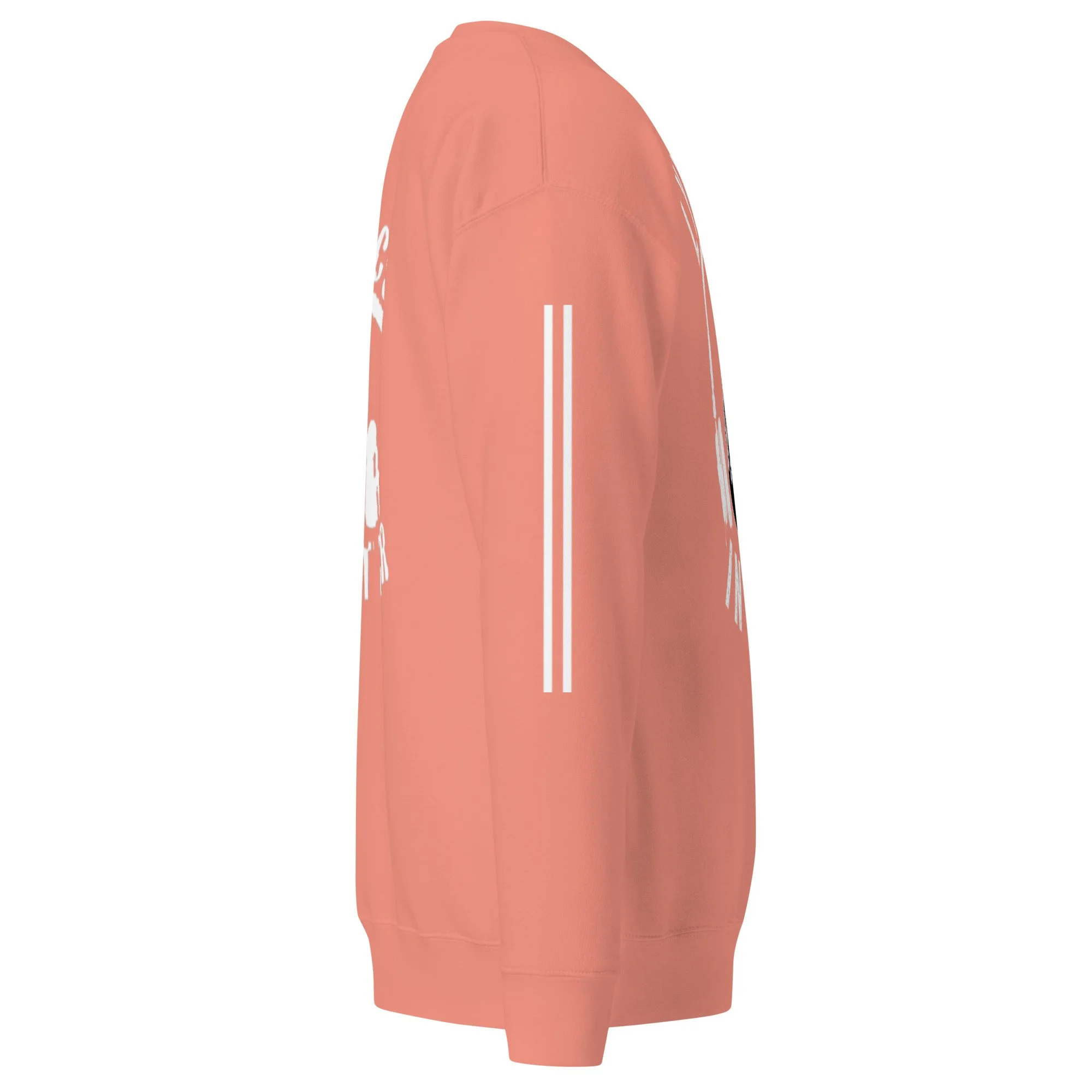 unisex-premium-sweatshirt-dusty-rose-right-6a7d48c687363.jpg