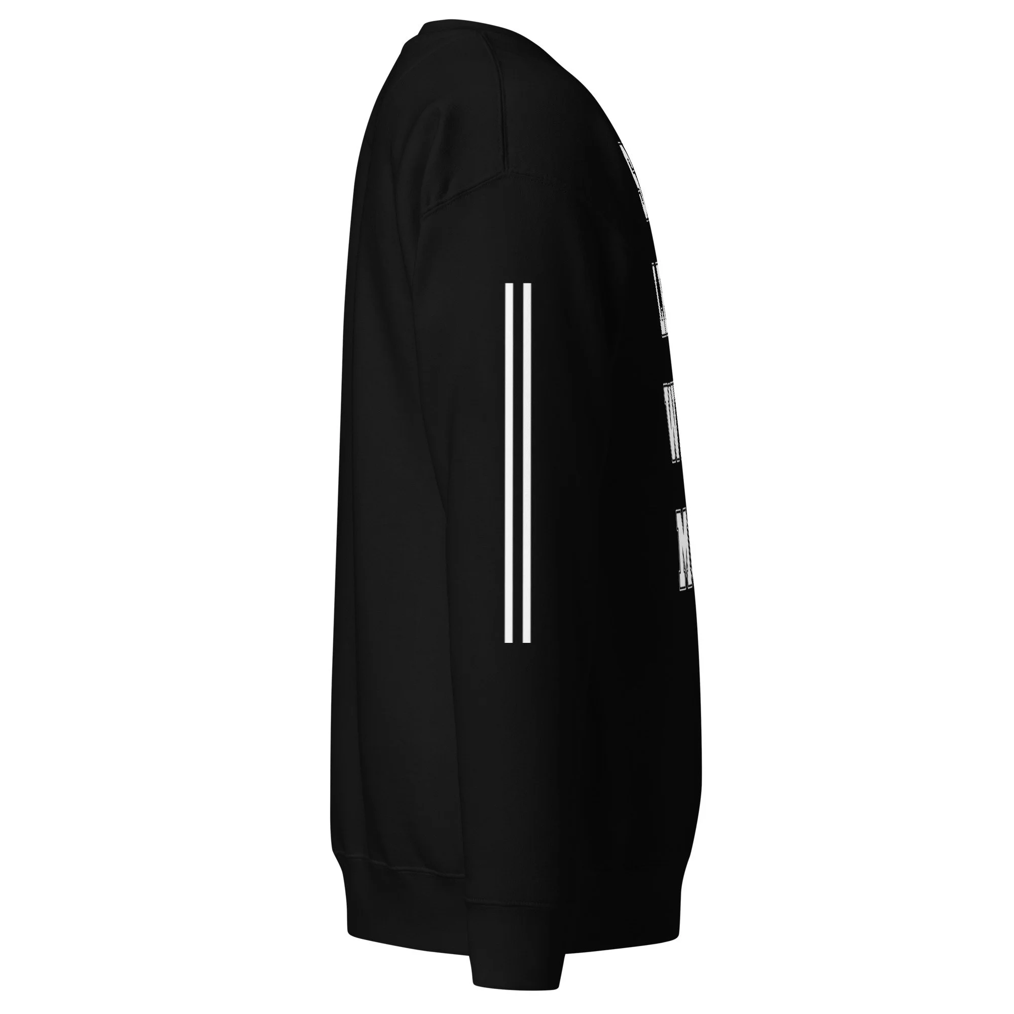 unisex-premium-sweatshirt-black-right-6a7f4207e6386.jpg