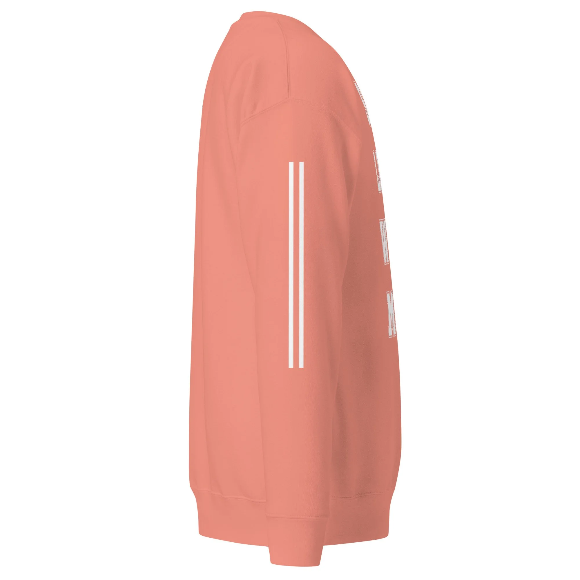 unisex-premium-sweatshirt-dusty-rose-right-6a7f4207e6455.jpg