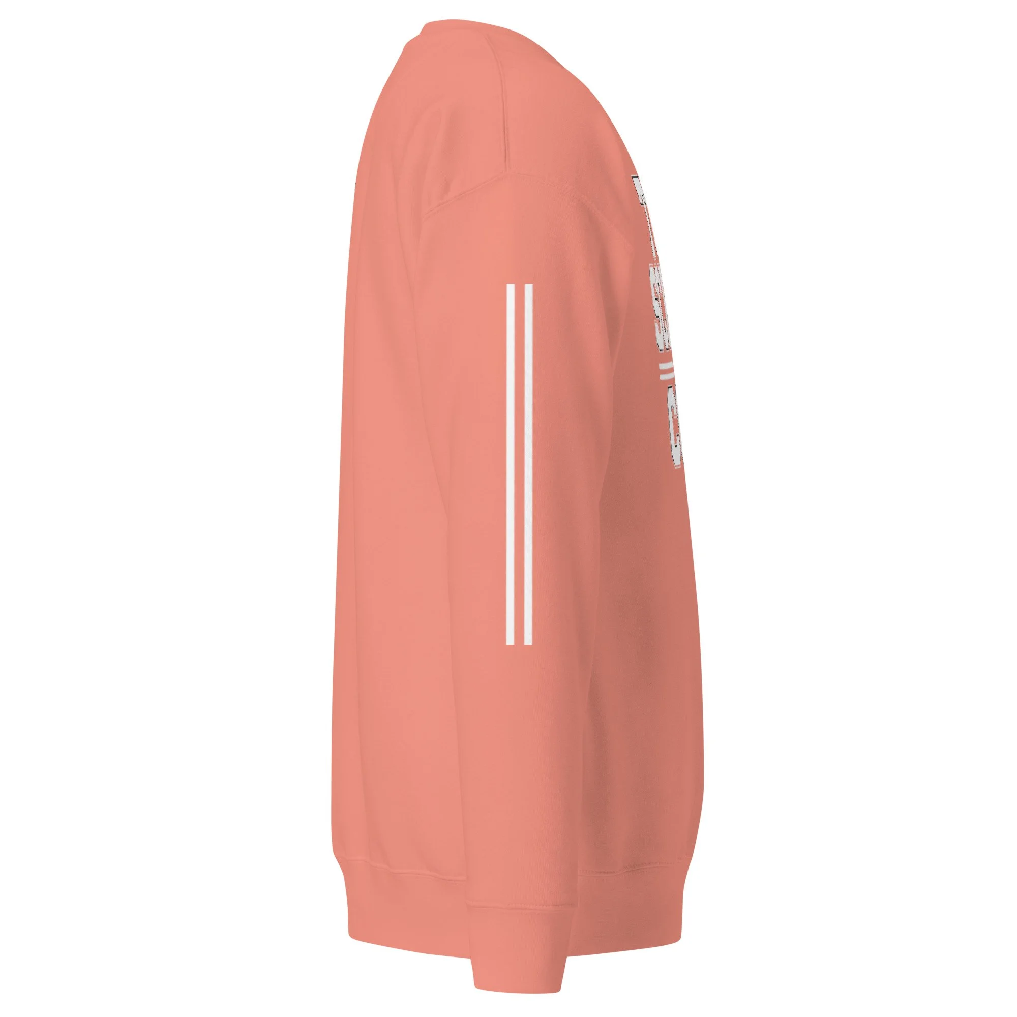 unisex-premium-sweatshirt-dusty-rose-right-6a7f434690377.jpg