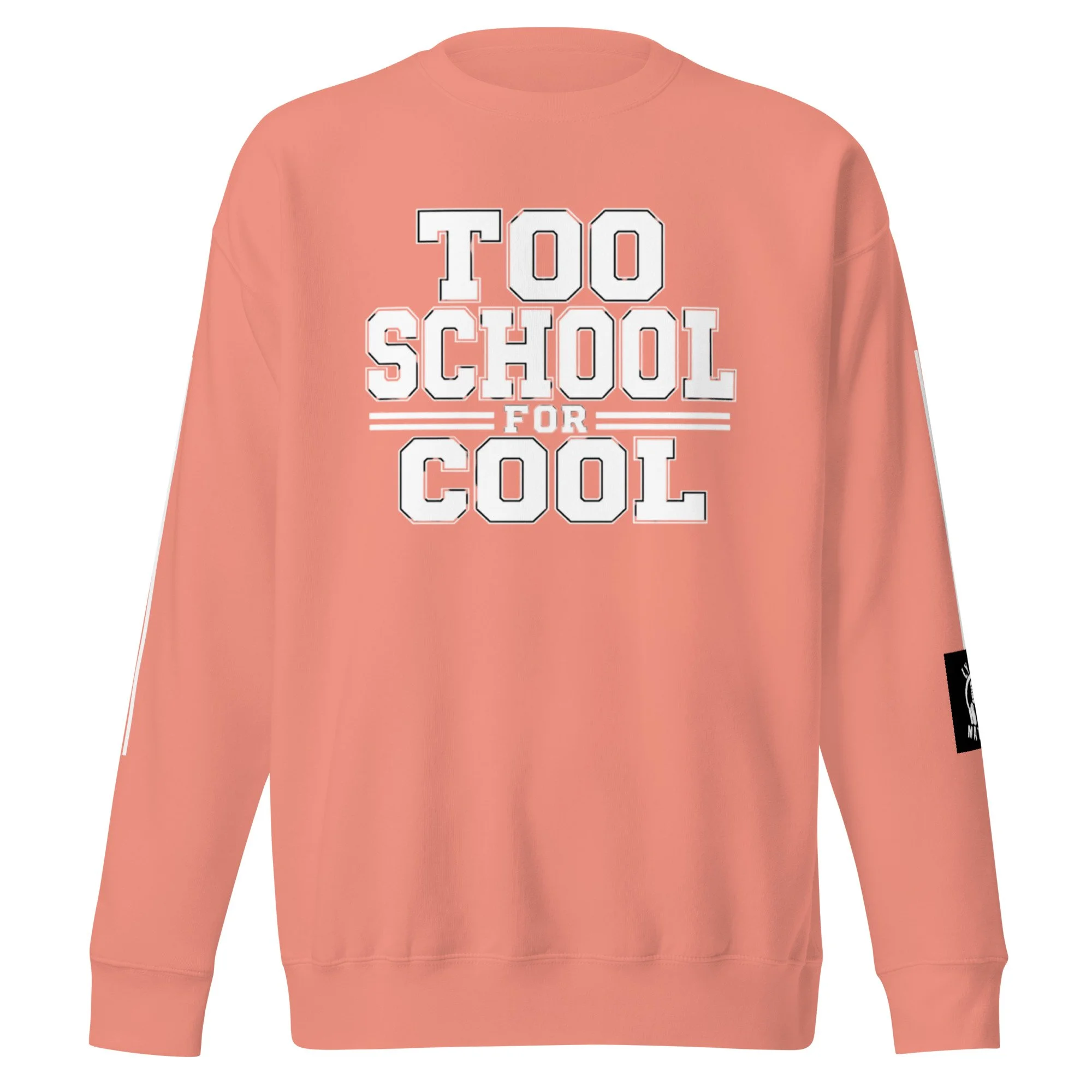 unisex-premium-sweatshirt-dusty-rose-front-6a7f4346911a6.jpg