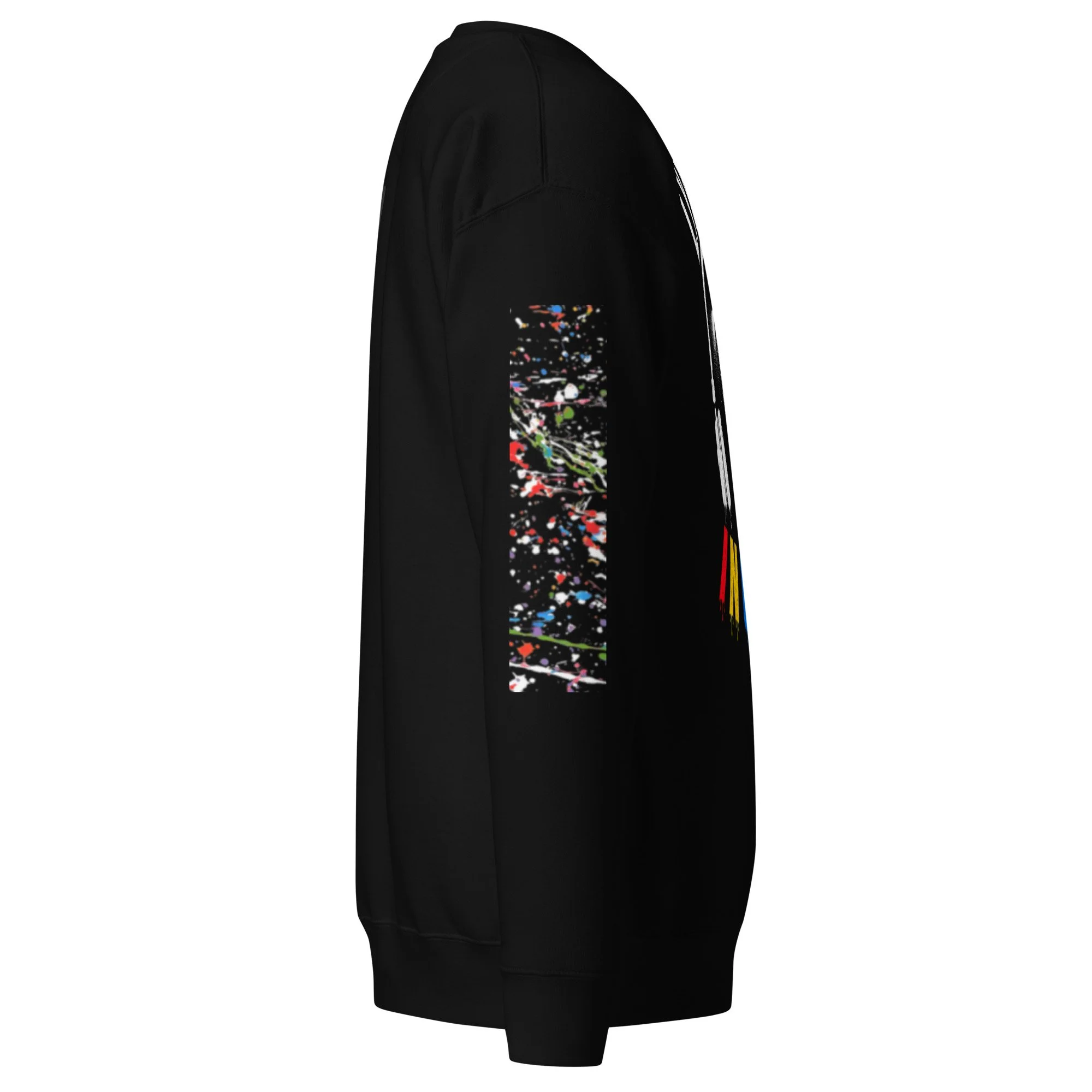 unisex-premium-sweatshirt-black-right-6a82ba48acb7c.jpg