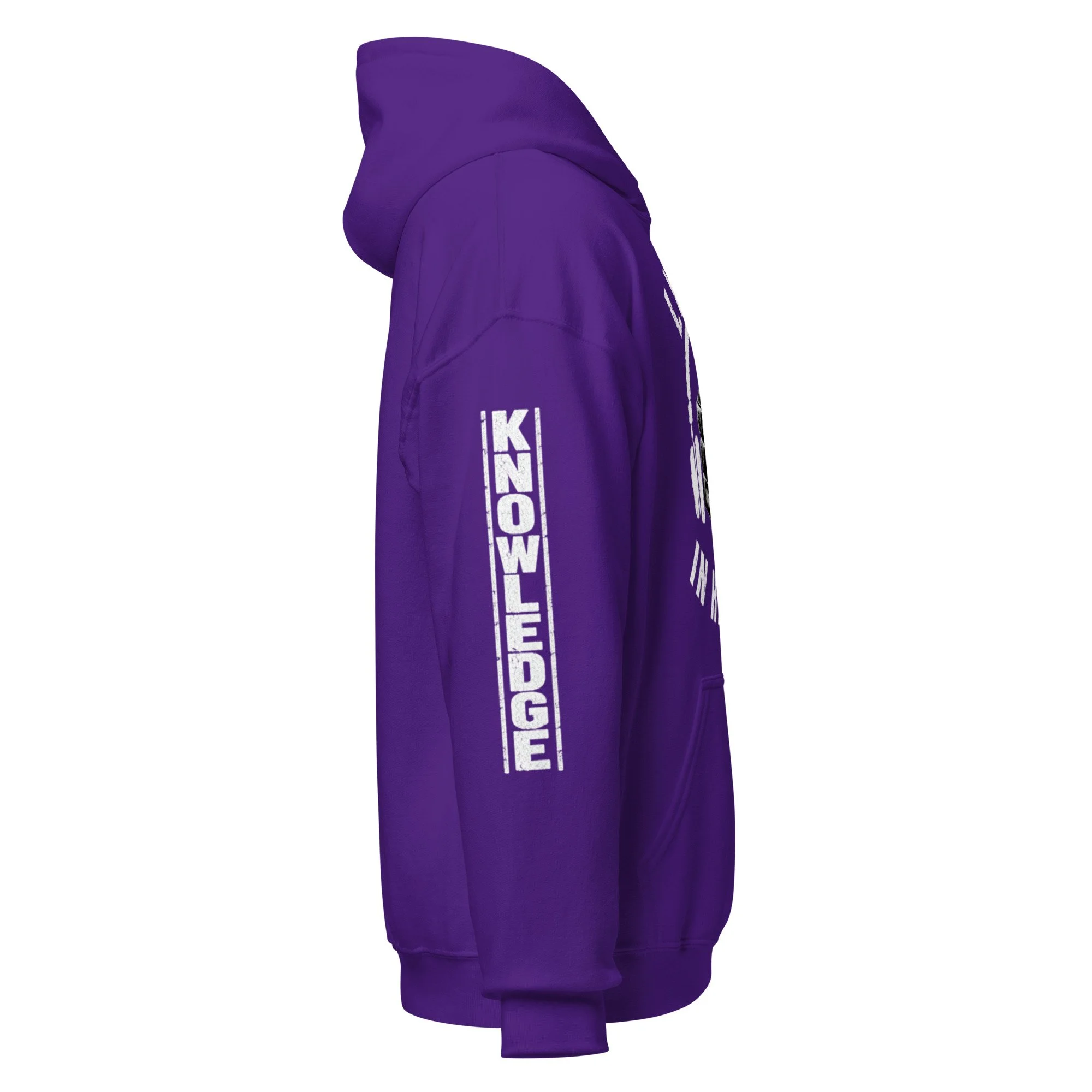 unisex-heavy-blend-hoodie-purple-right-6aac50f71f535.jpg