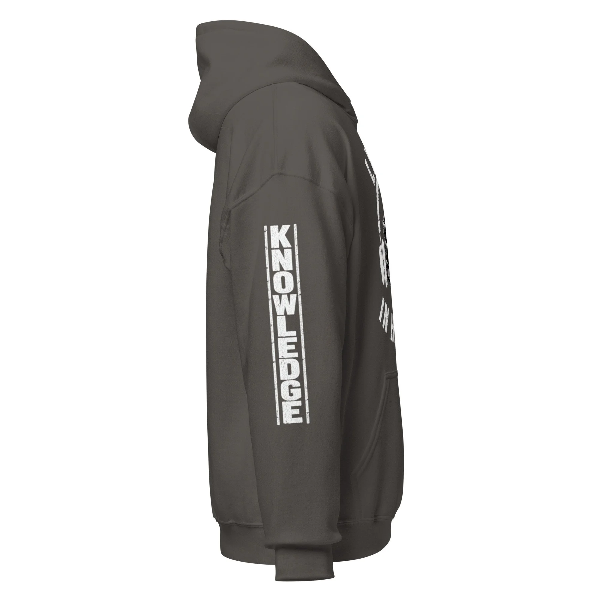 unisex-heavy-blend-hoodie-charcoal-right-6aac50f71f0c0.jpg