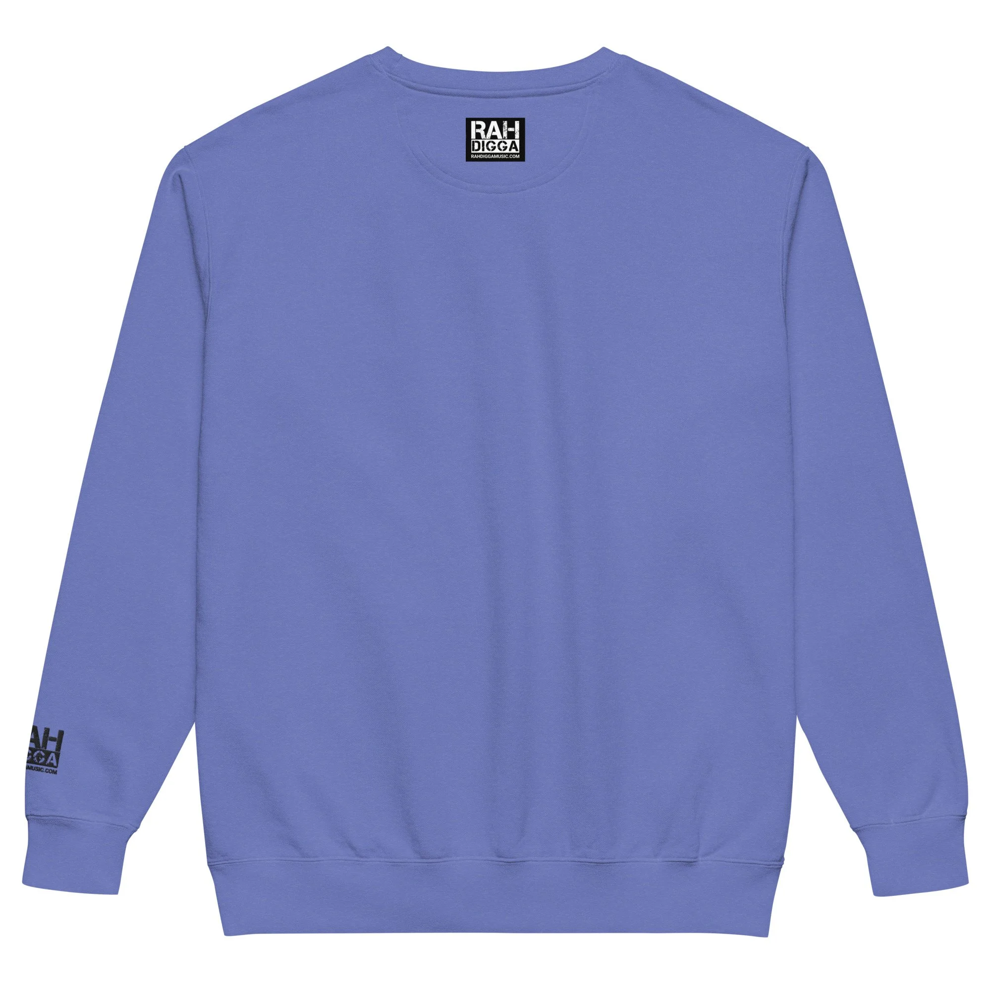 unisex-garment-dyed-sweatshirt-flo-blue-back-6aaf45405c7f1.jpg