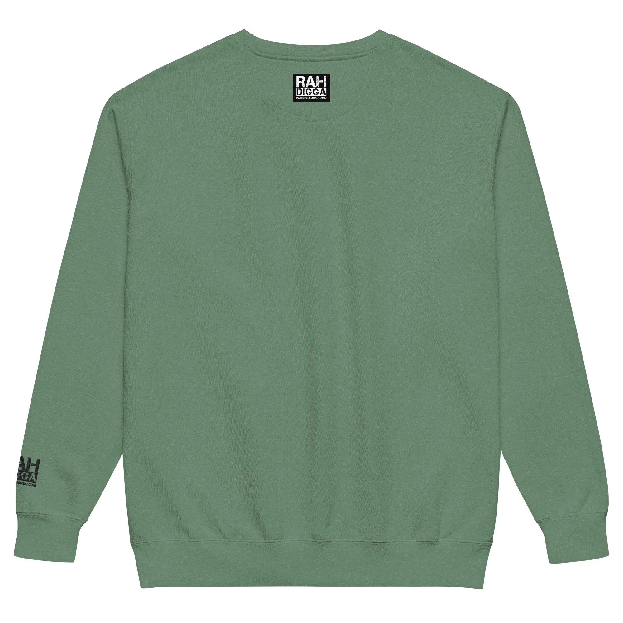 unisex-garment-dyed-sweatshirt-light-green-back-6aaf45405d3bc.jpg