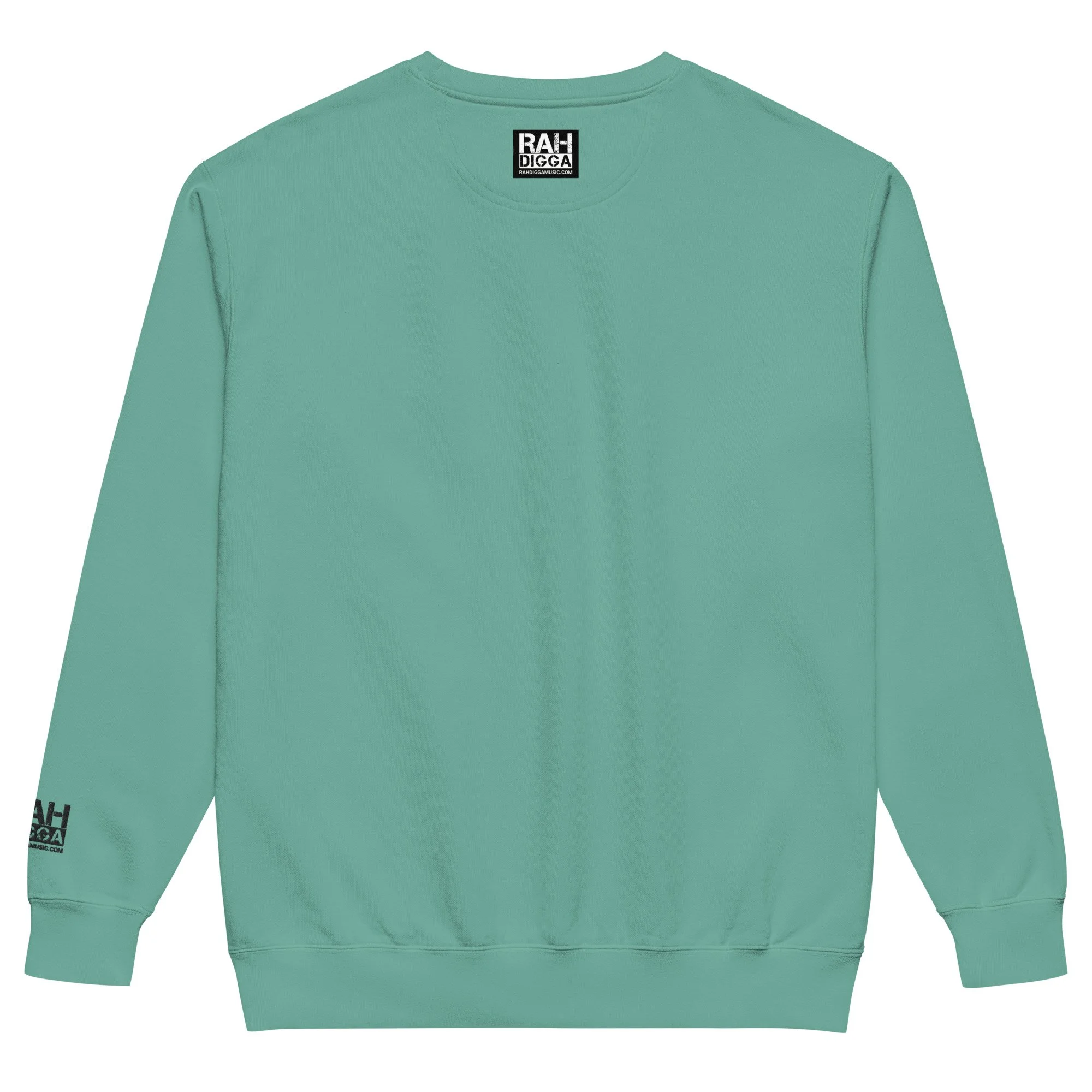 unisex-garment-dyed-sweatshirt-seafoam-back-6aaf454062eb8.jpg