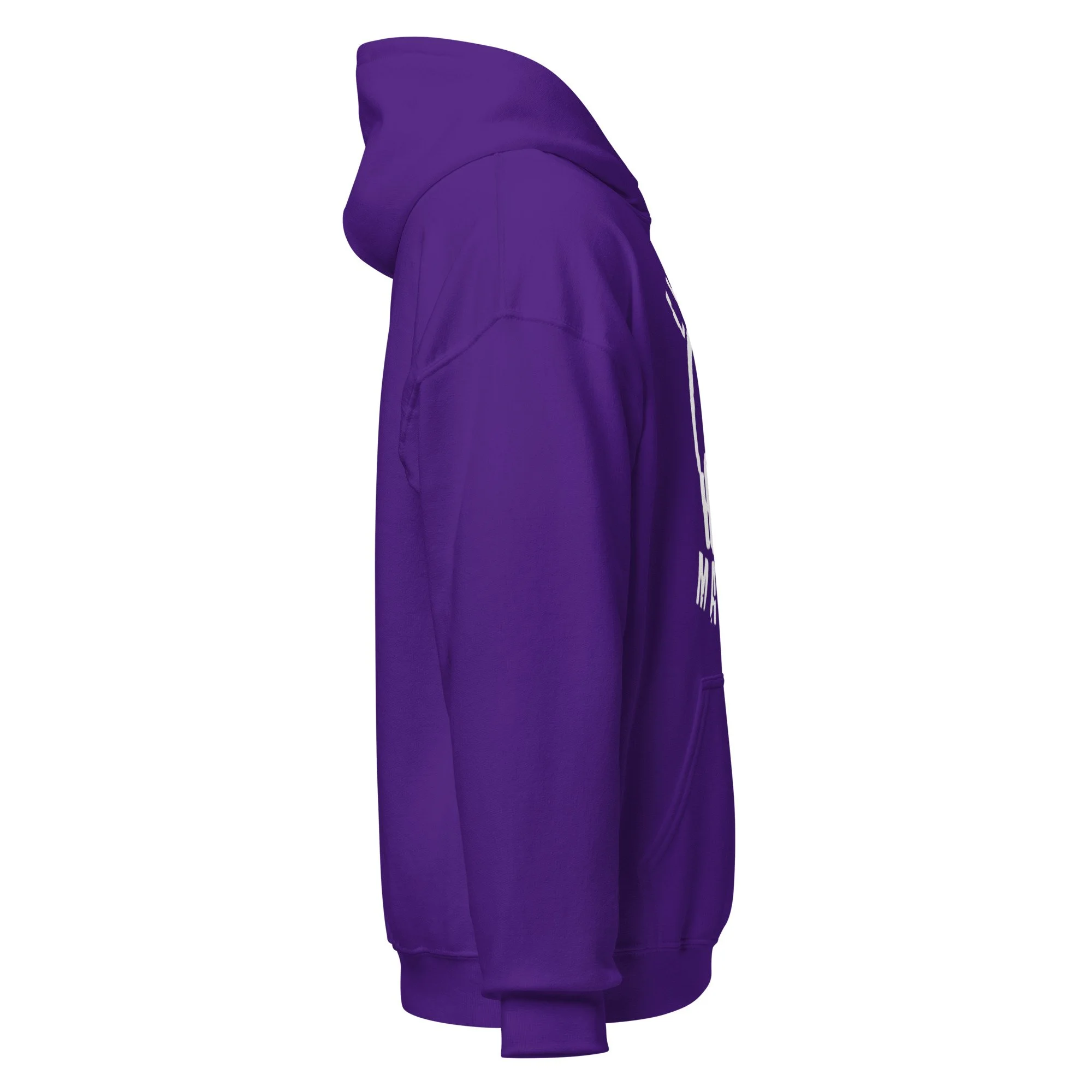 unisex-heavy-blend-hoodie-purple-right-6aaf4c087bc50.jpg