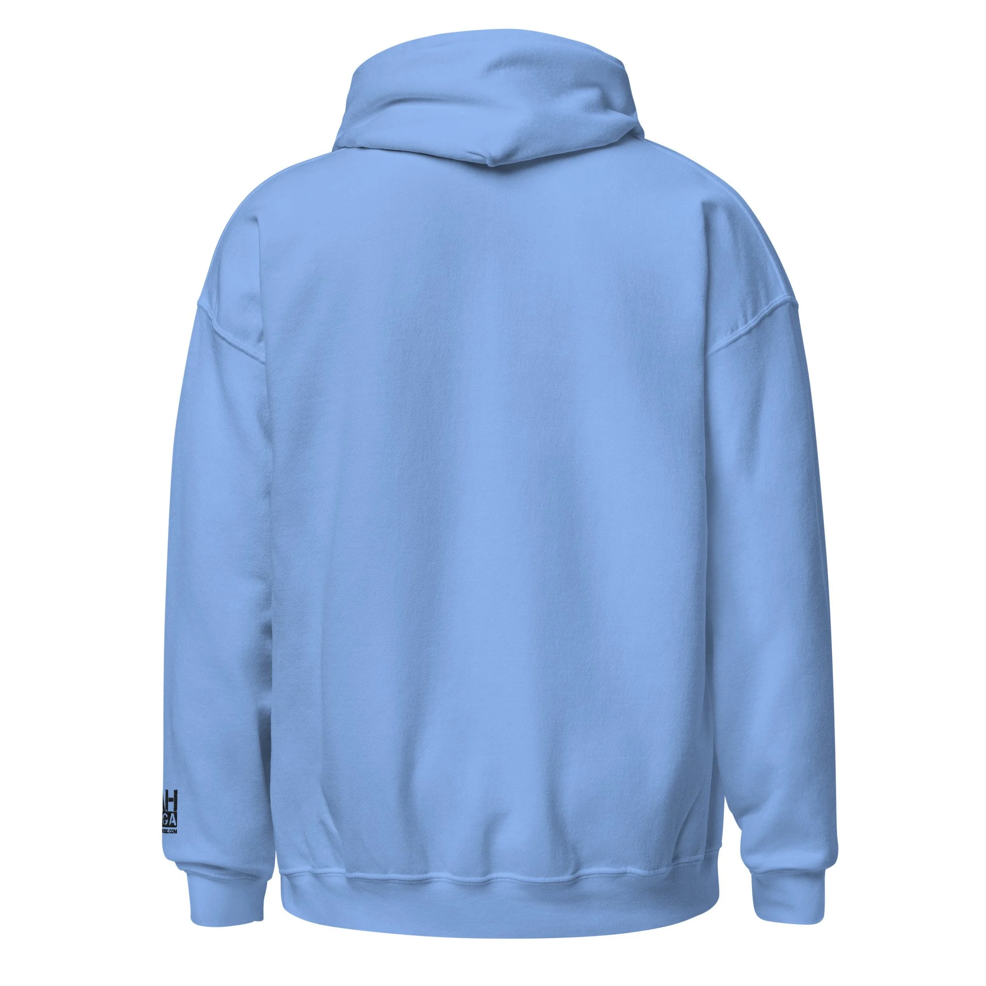unisex-heavy-blend-hoodie-carolina-blue-back-6aaf51621d6ad.jpg