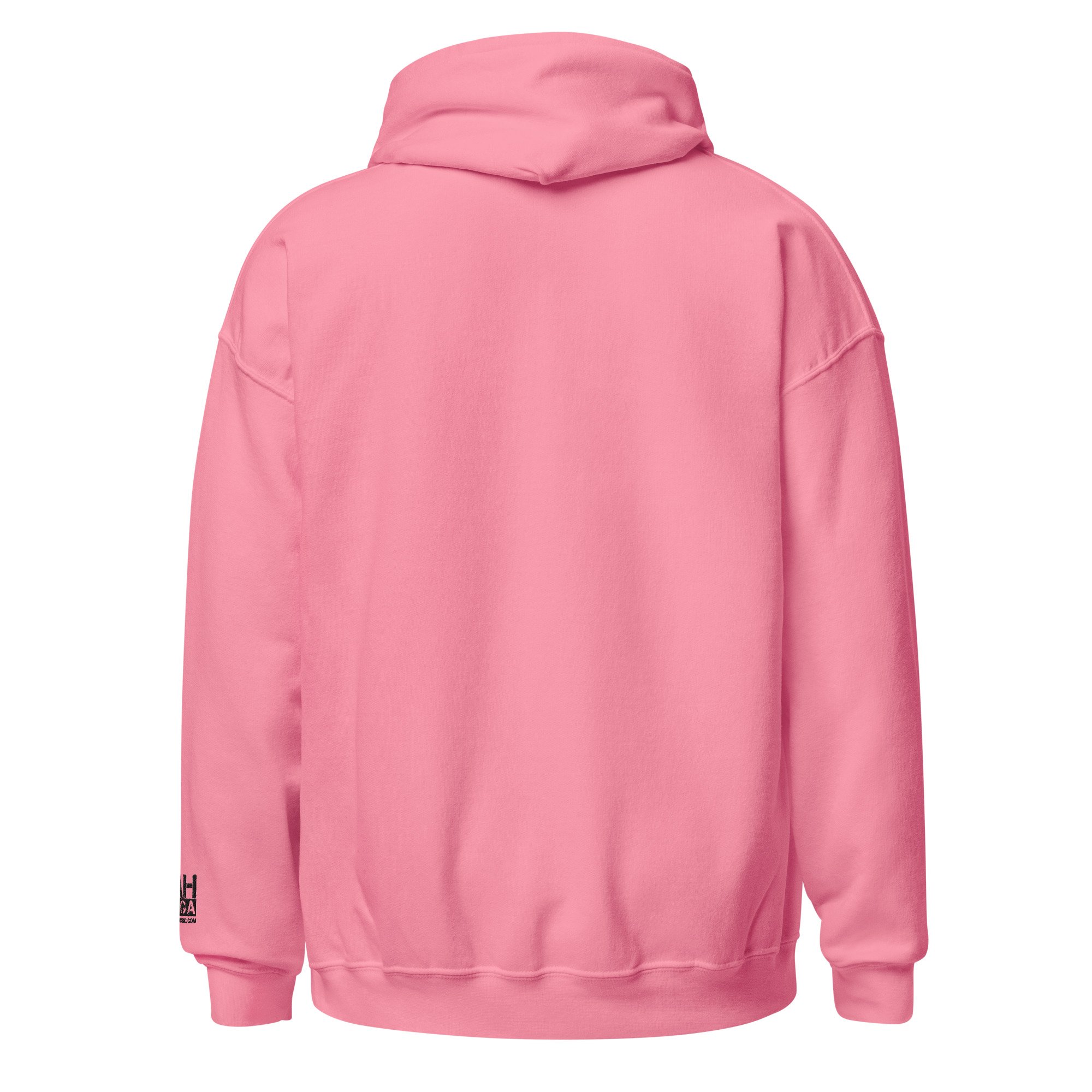 unisex-heavy-blend-hoodie-azalea-back-6aaf51621da4c.jpg