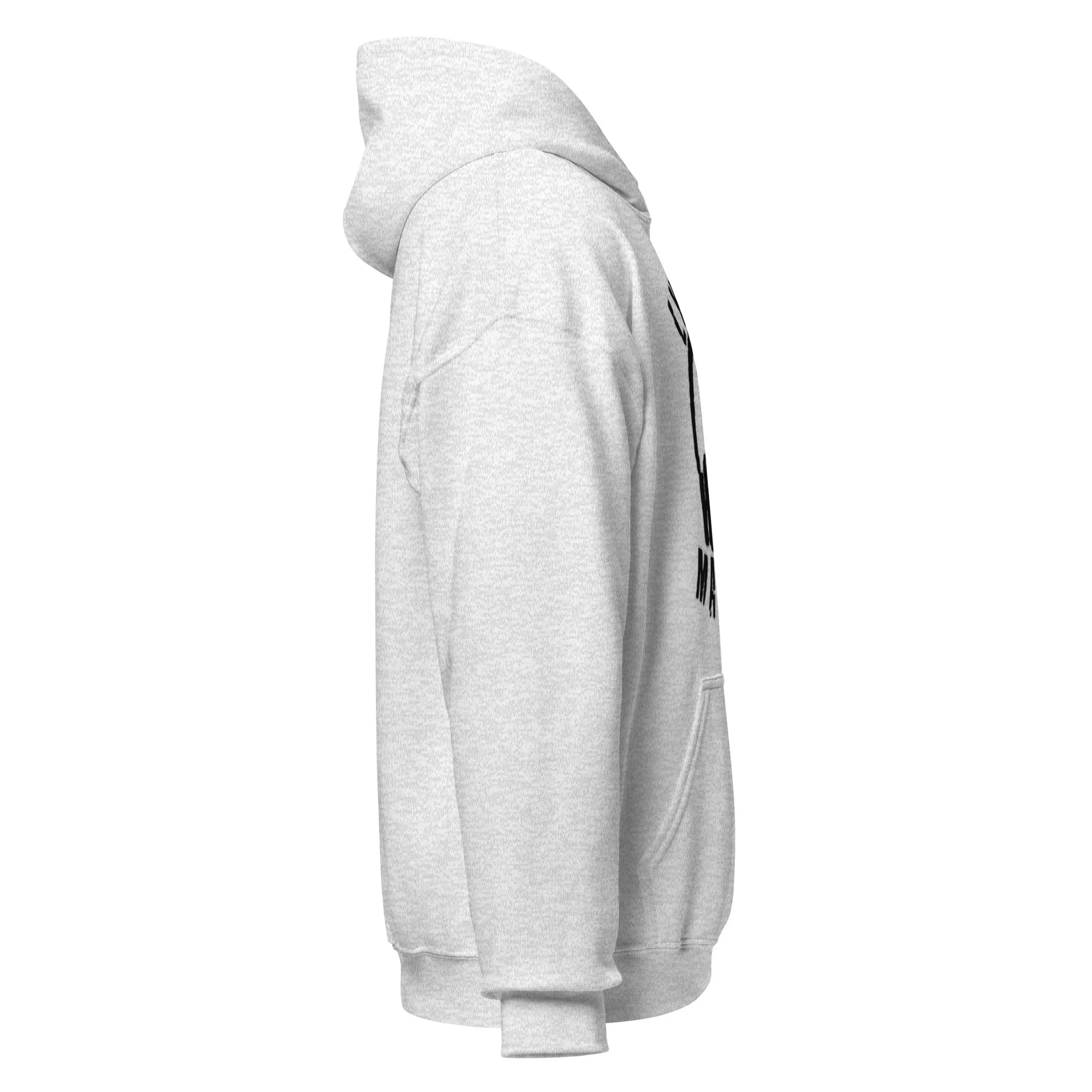 unisex-heavy-blend-hoodie-ash-right-6aaf51621e88c.jpg