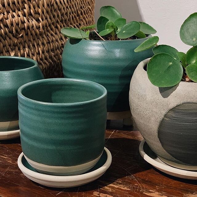 Very happy to be sitting in this divine oasis in the cutest ever part of sydney!! Visit if you can! 
#Repost @theplantsocietyau
・・・
@katherinemahoneyceramics sitting perfectly in our Paddington Outpost. Our Paddington Outpost is open weekends however