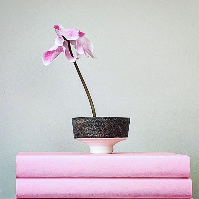 Sooo pretty ...sooo pink.... sooo love! 
#Repost @bottegafiorella
・・・
Good morning my little Cyclamen....feeling on top of the world.
.
.
#katherinemahoneyceramics #sakecup #cyclamen #pink #relishtheritual #craftedaus