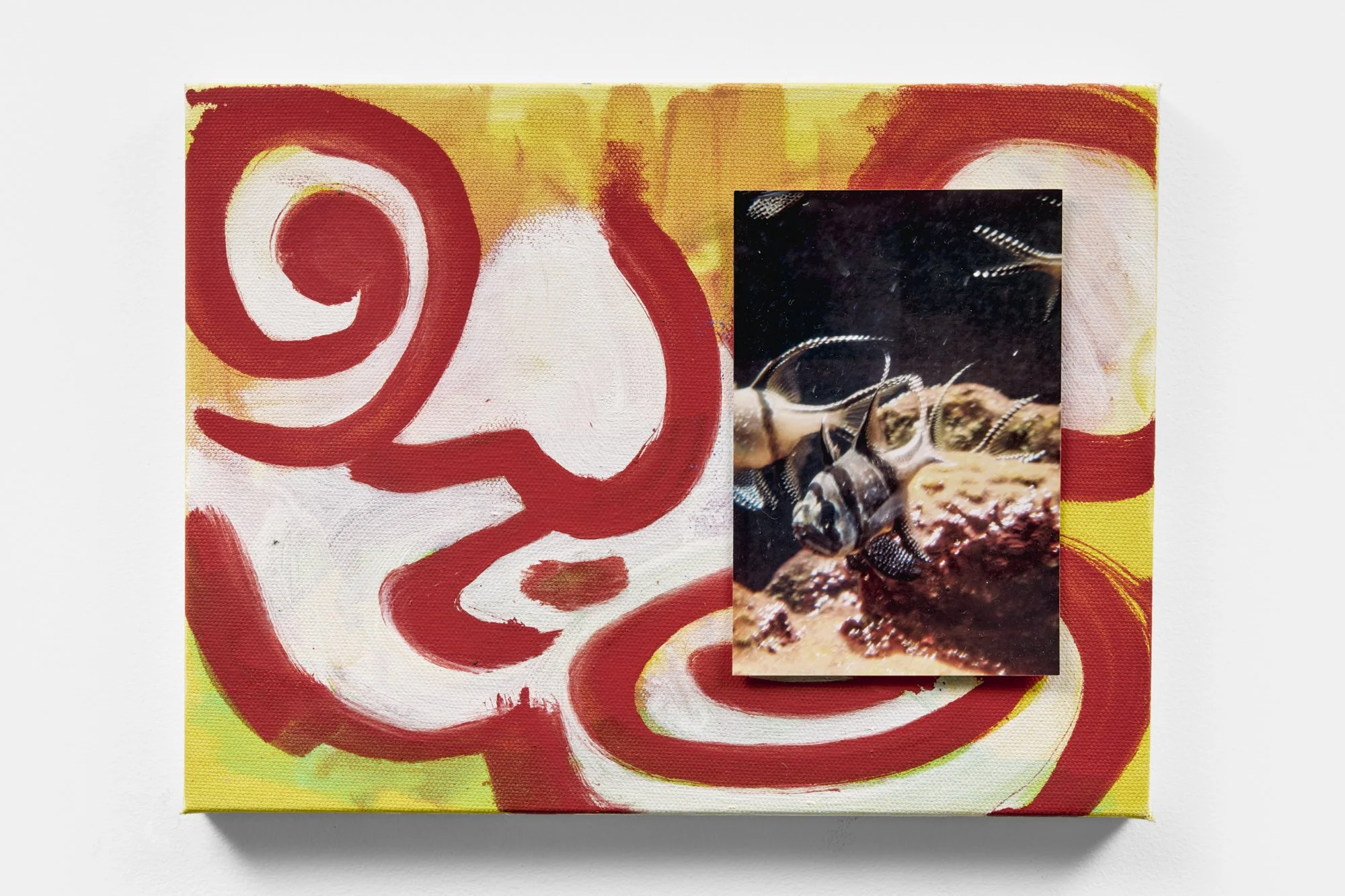 EmptyName 25_LowRes_2000.jpg