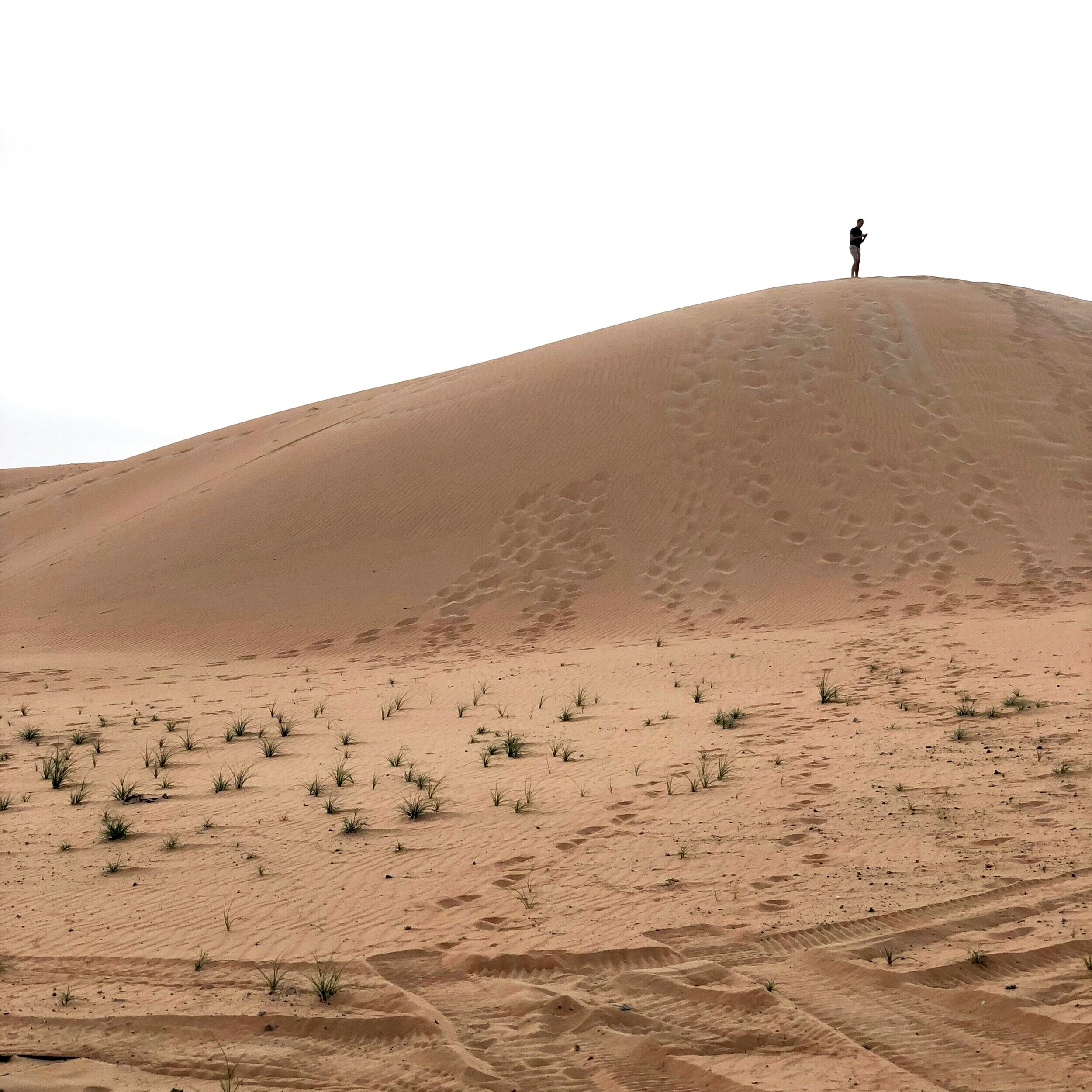 The Empty Quarter, Abu Dhabi, United Arab Emirates