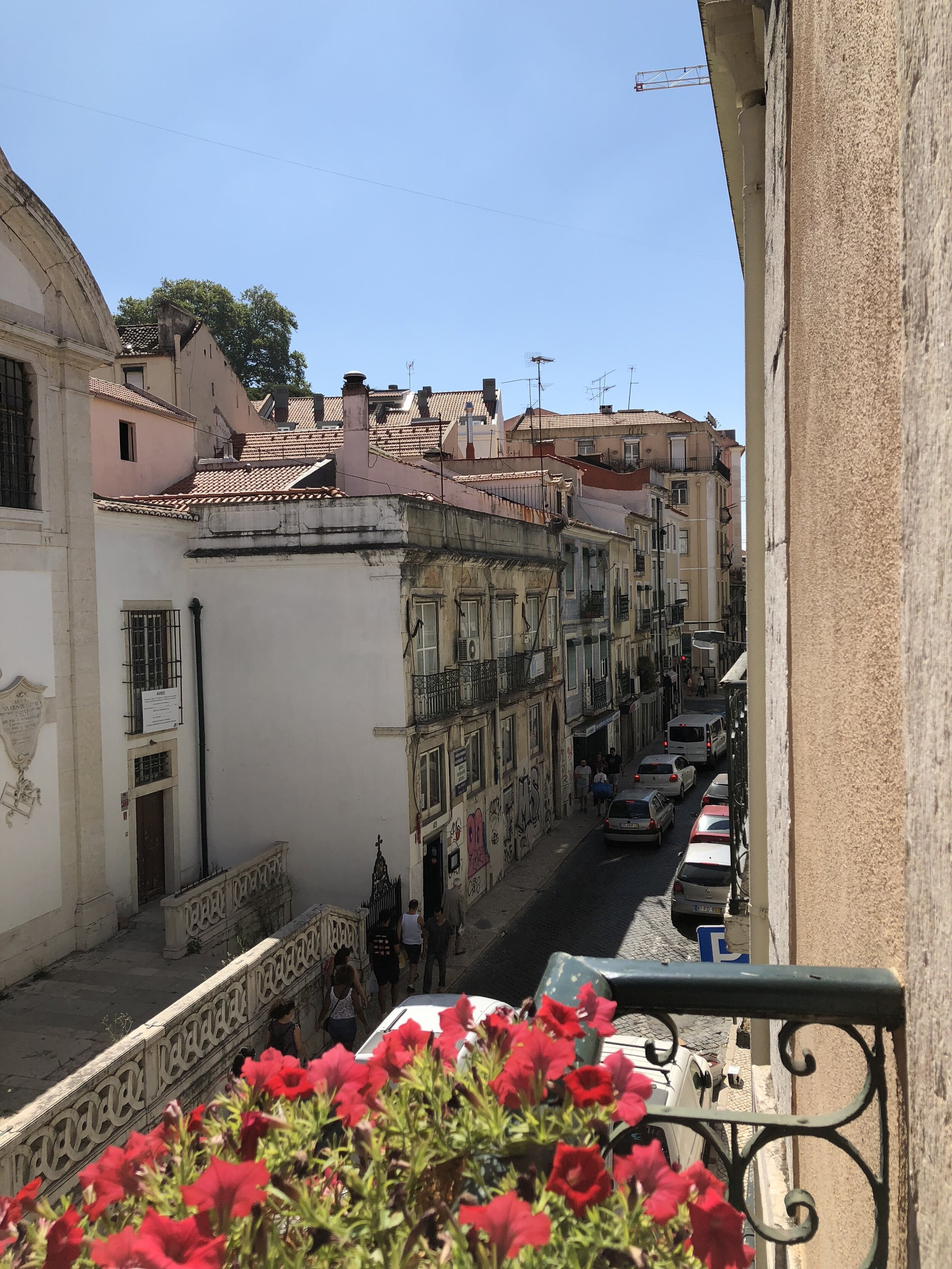 IMG_0713.jpeg