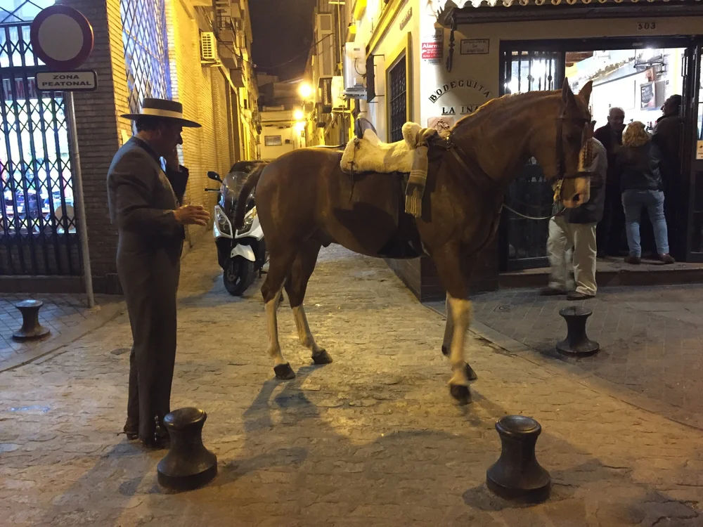  Image credit:  Micaela van Zwoll  