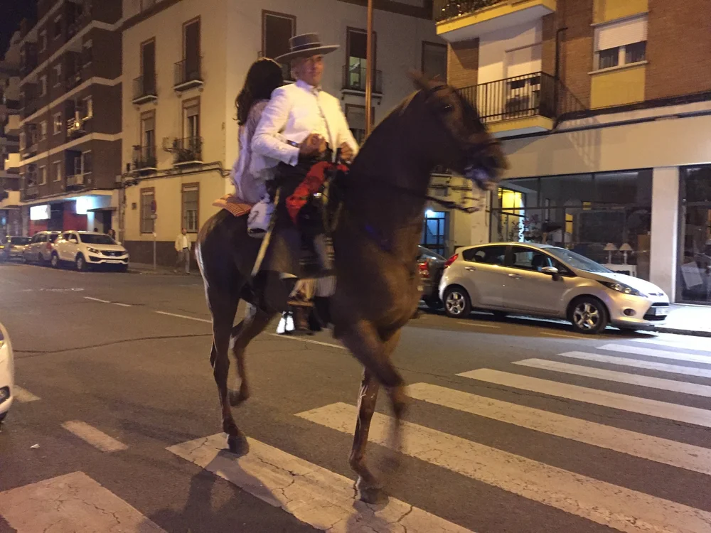  Image credit:  Micaela van Zwoll  