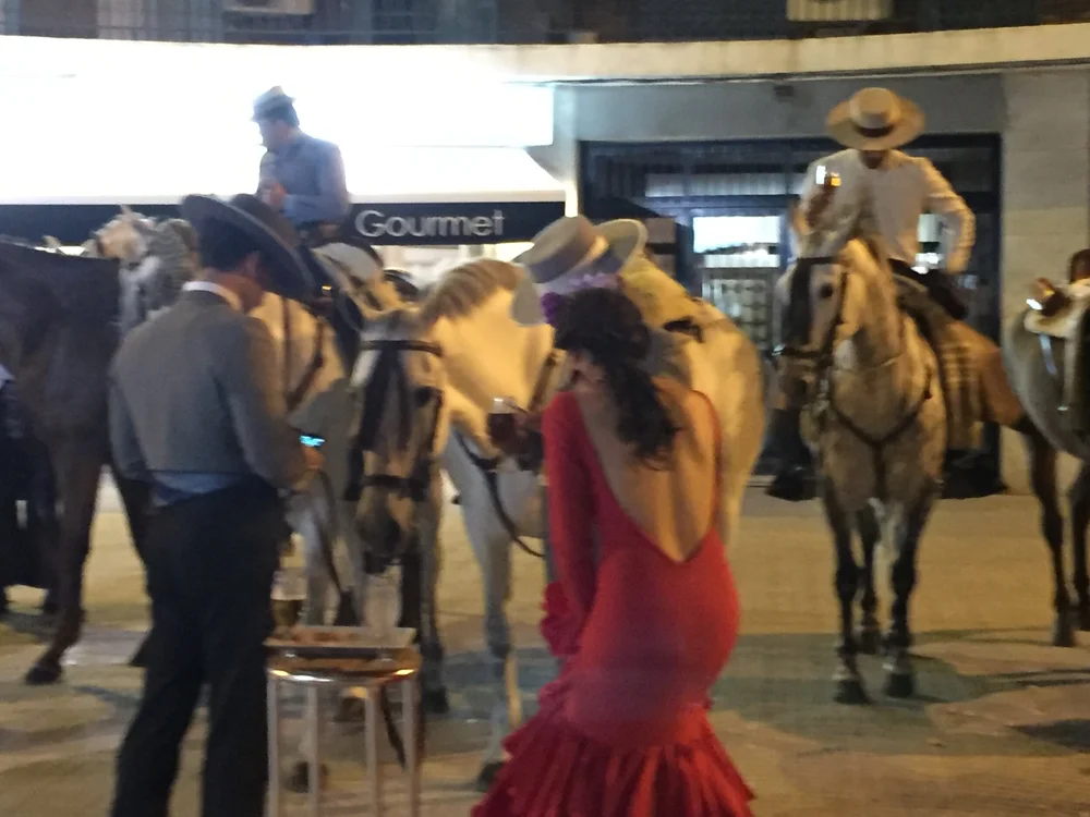  Image credit:  Micaela van Zwoll  