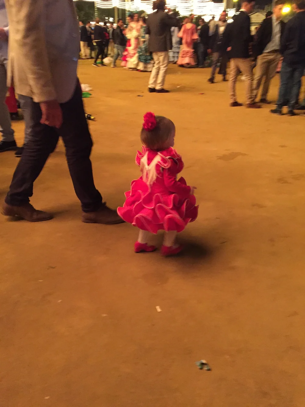  Image credit:  Micaela van Zwoll  