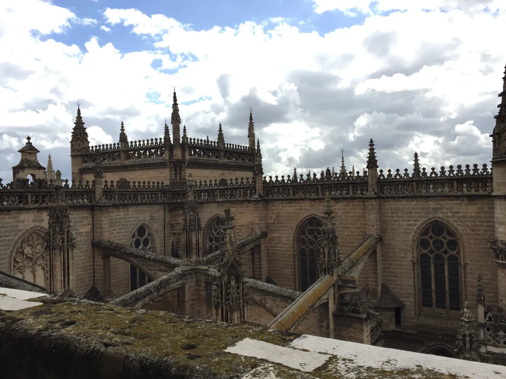  Image credit:  Micaela van Zwoll  