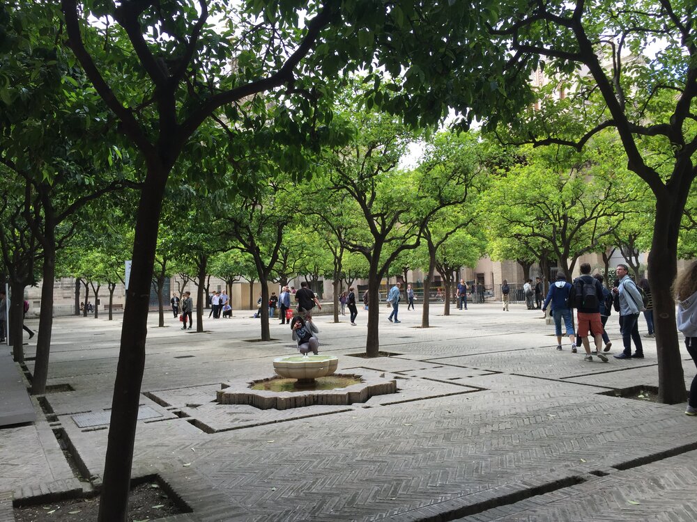  Image credit:  Micaela van Zwoll  