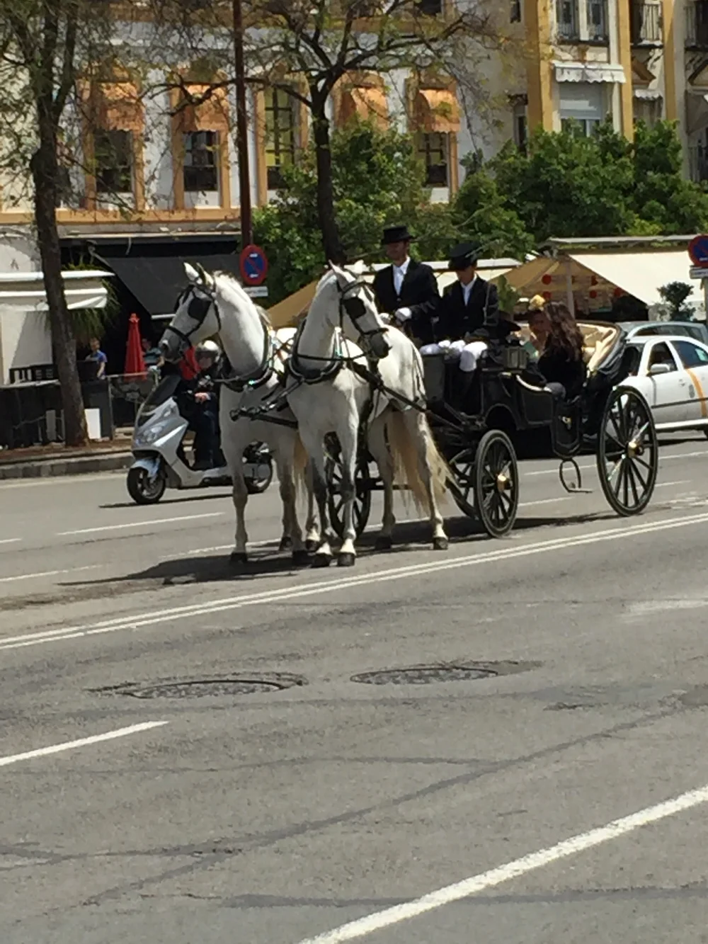  Image credit:  Micaela van Zwoll  