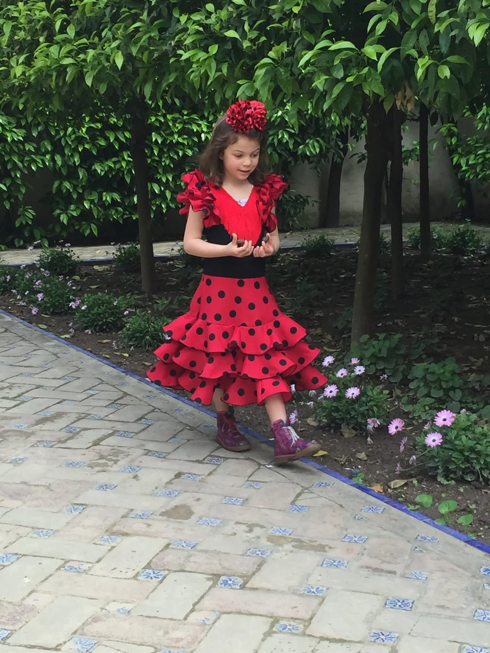  Image credit:  Micaela van Zwoll  